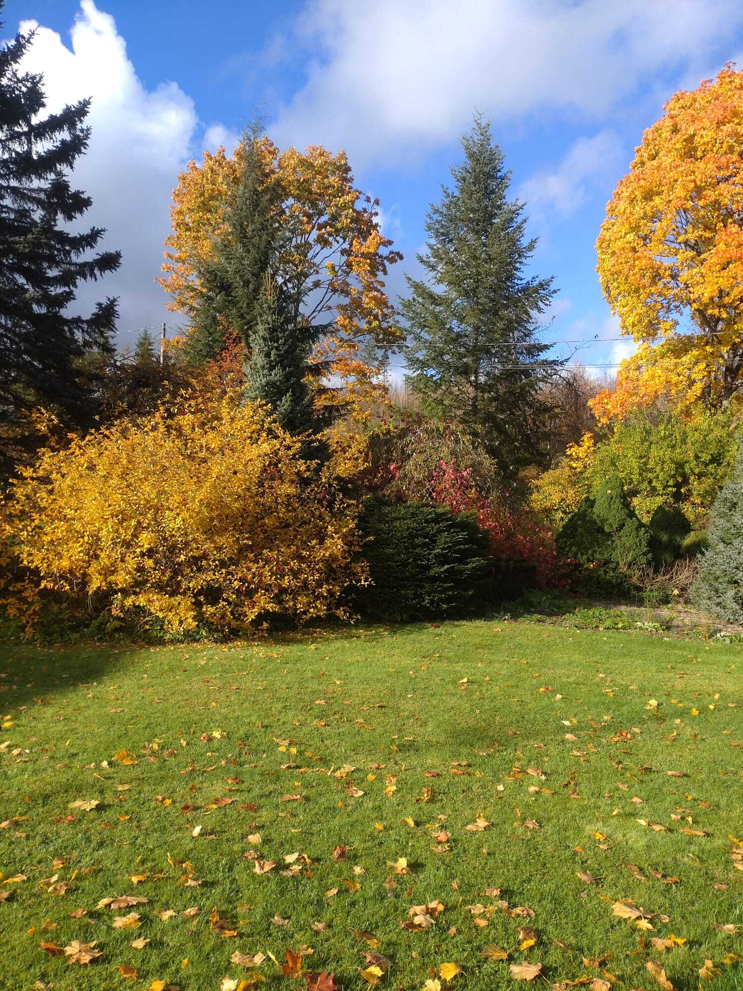 Myyjän omasta albumista