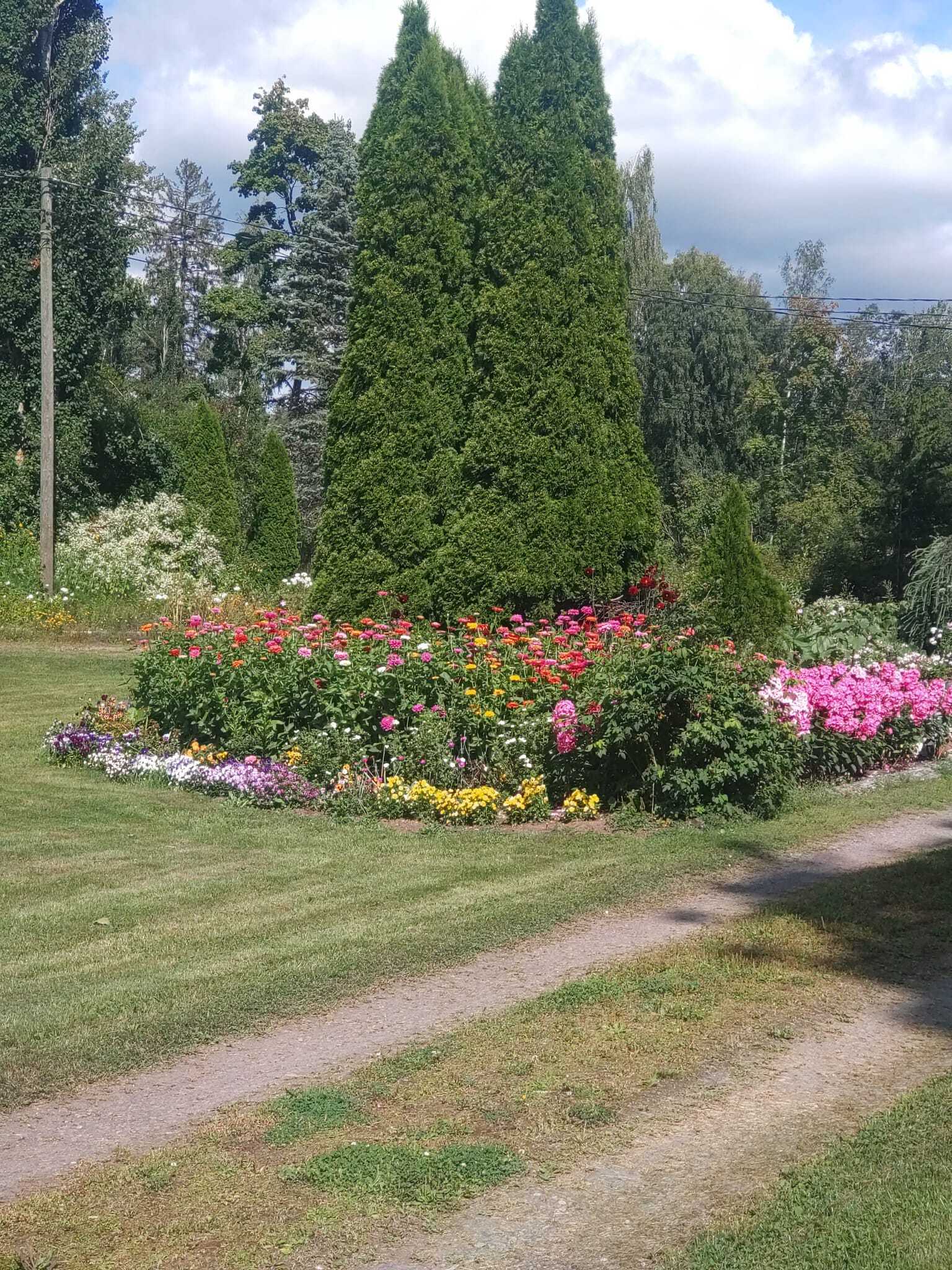 Myyjän omasta albumista