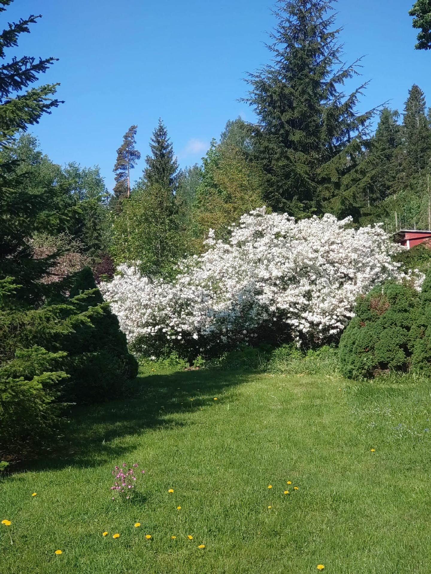 Myyjän omasta albumista