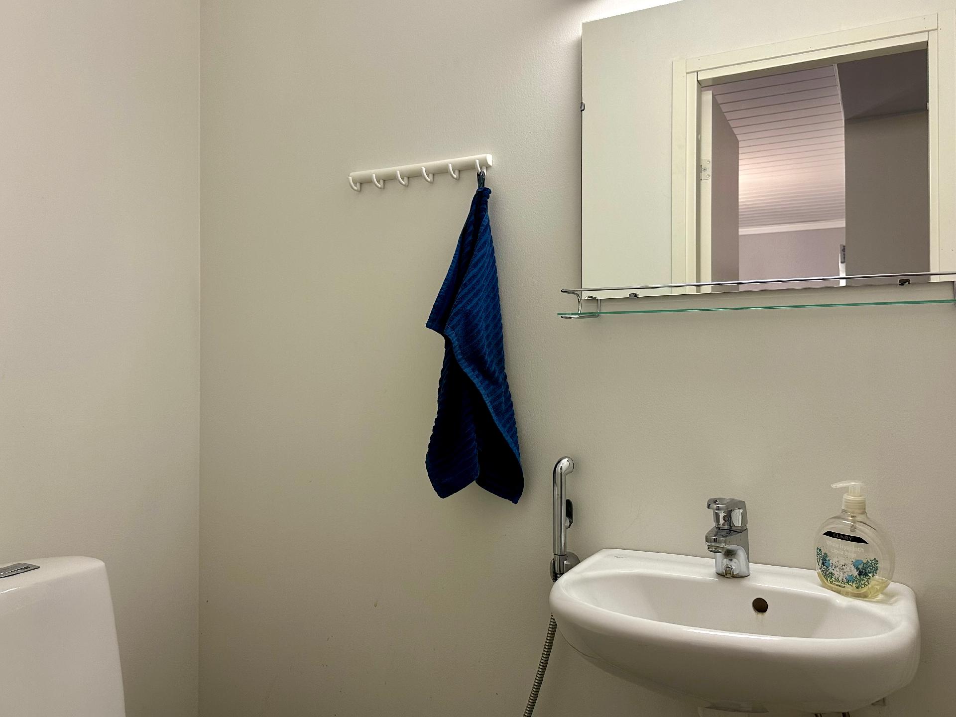 Usvatie 9-11, Tervakoski, Janakkala