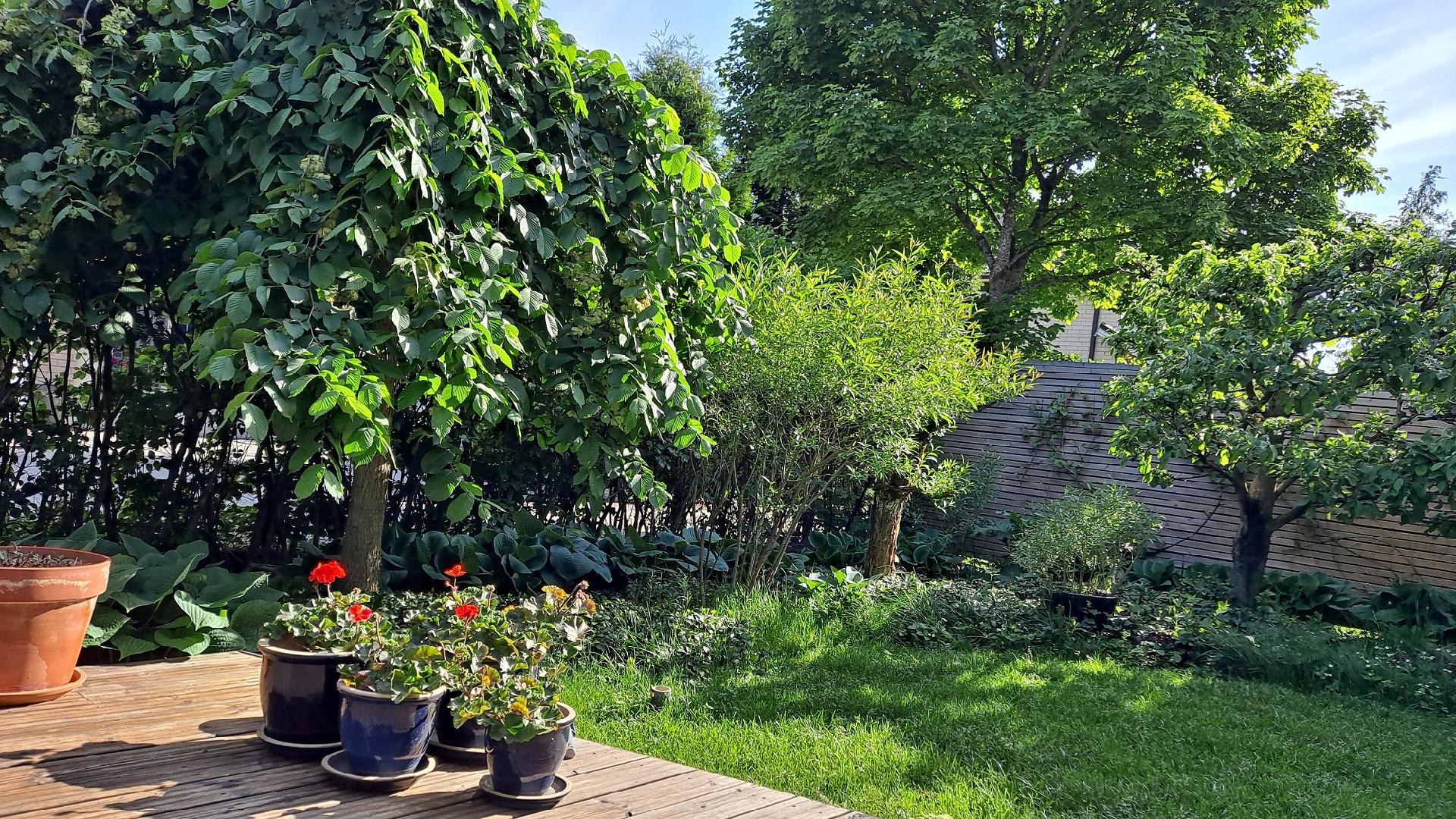 Ollilantie 18, Tapaninvainio, Helsinki