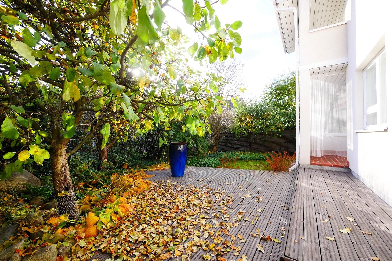 Ollilantie 18, Tapaninvainio, Helsinki