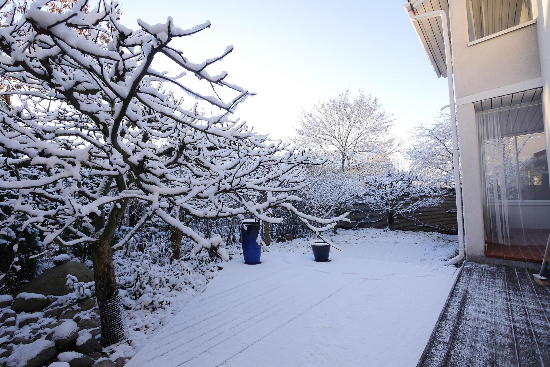 Ollilantie 18, Tapaninvainio, Helsinki