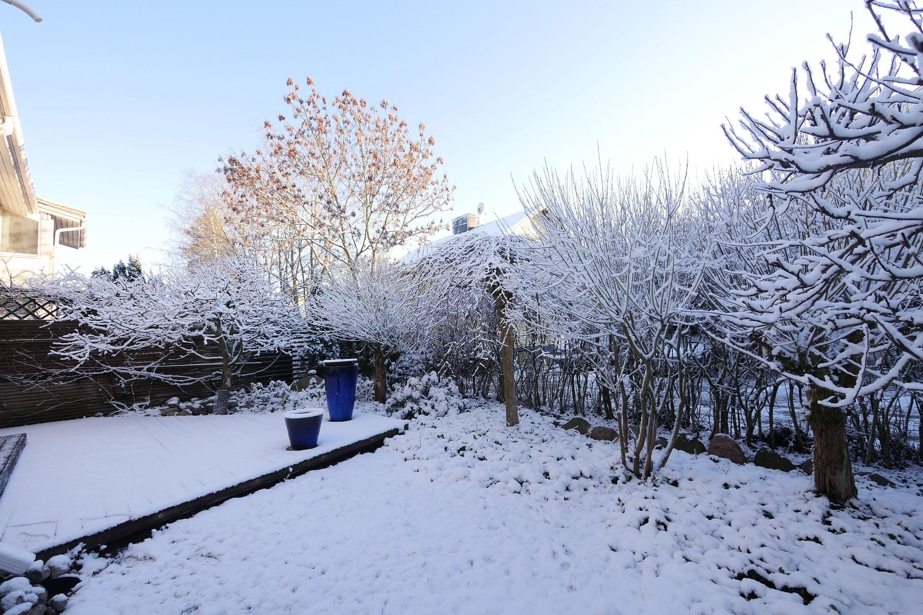 Ollilantie 18, Tapaninvainio, Helsinki