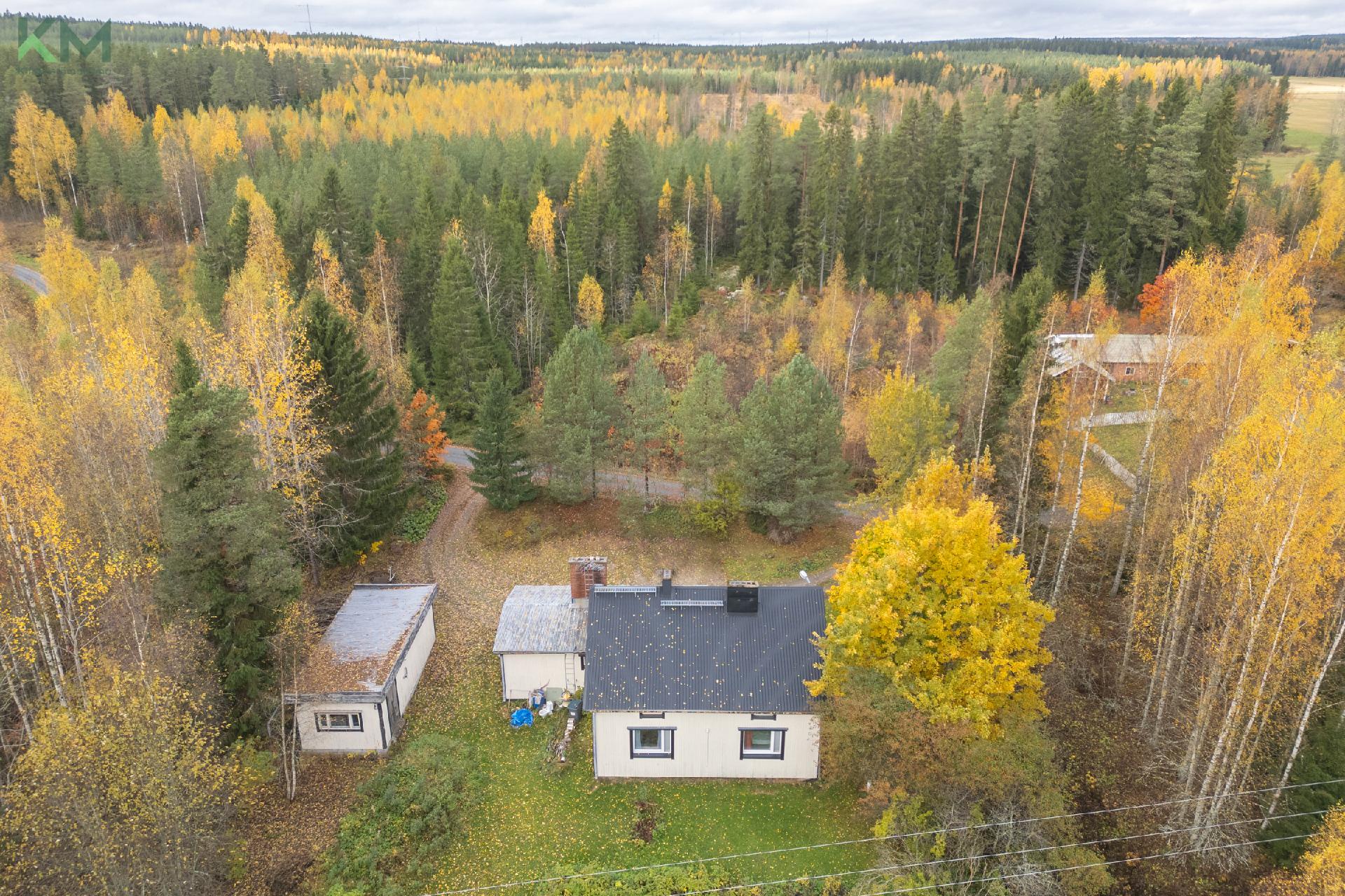 Hautatorpantie 91, Mieto, Kurikka