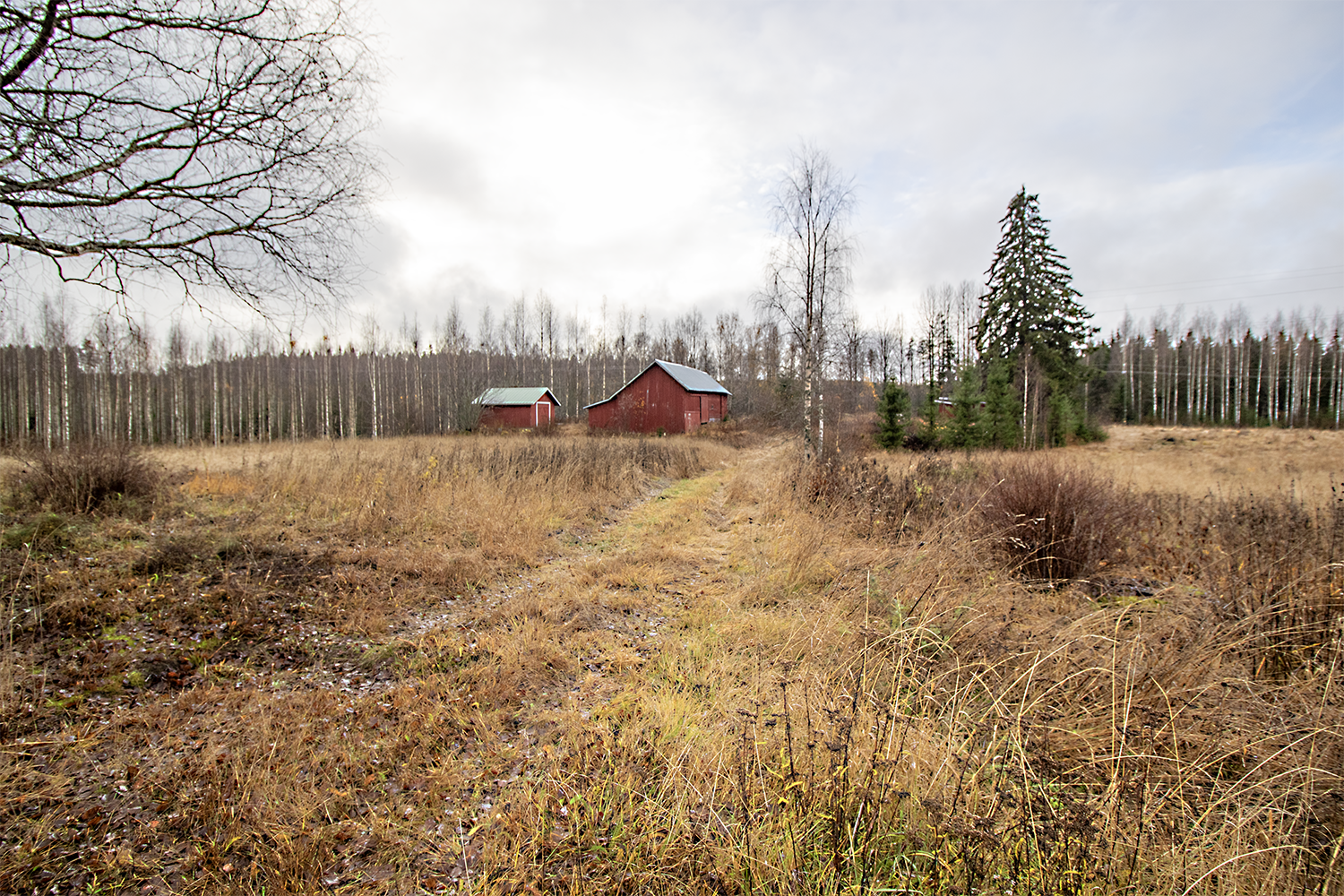 Ollinsalmentie 57, Leppävirta