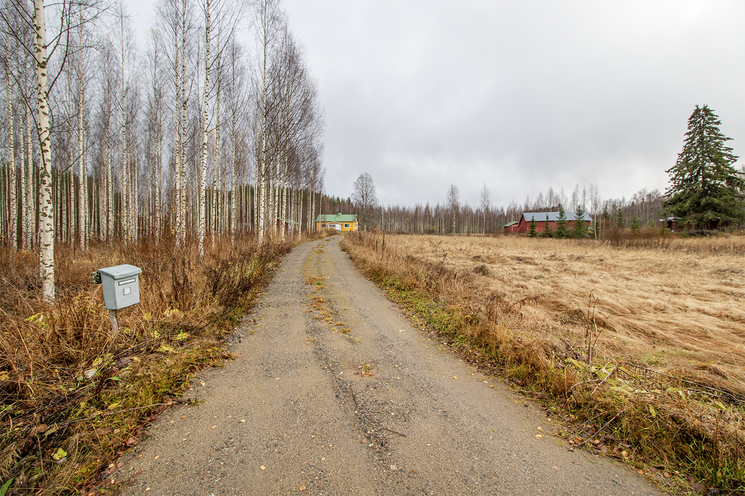 Ollinsalmentie 57, Leppävirta