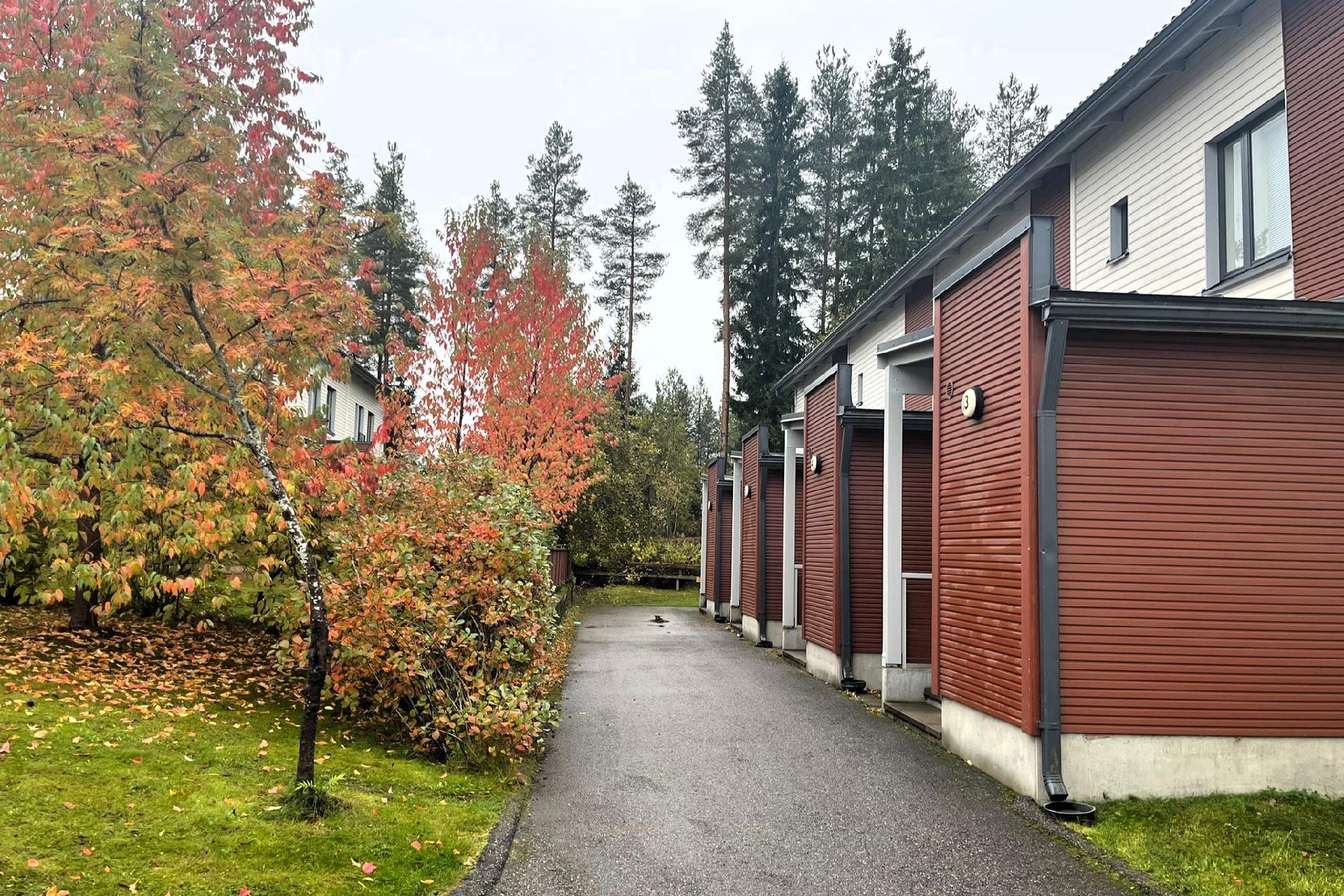 Myyjän omasta kuvapankista