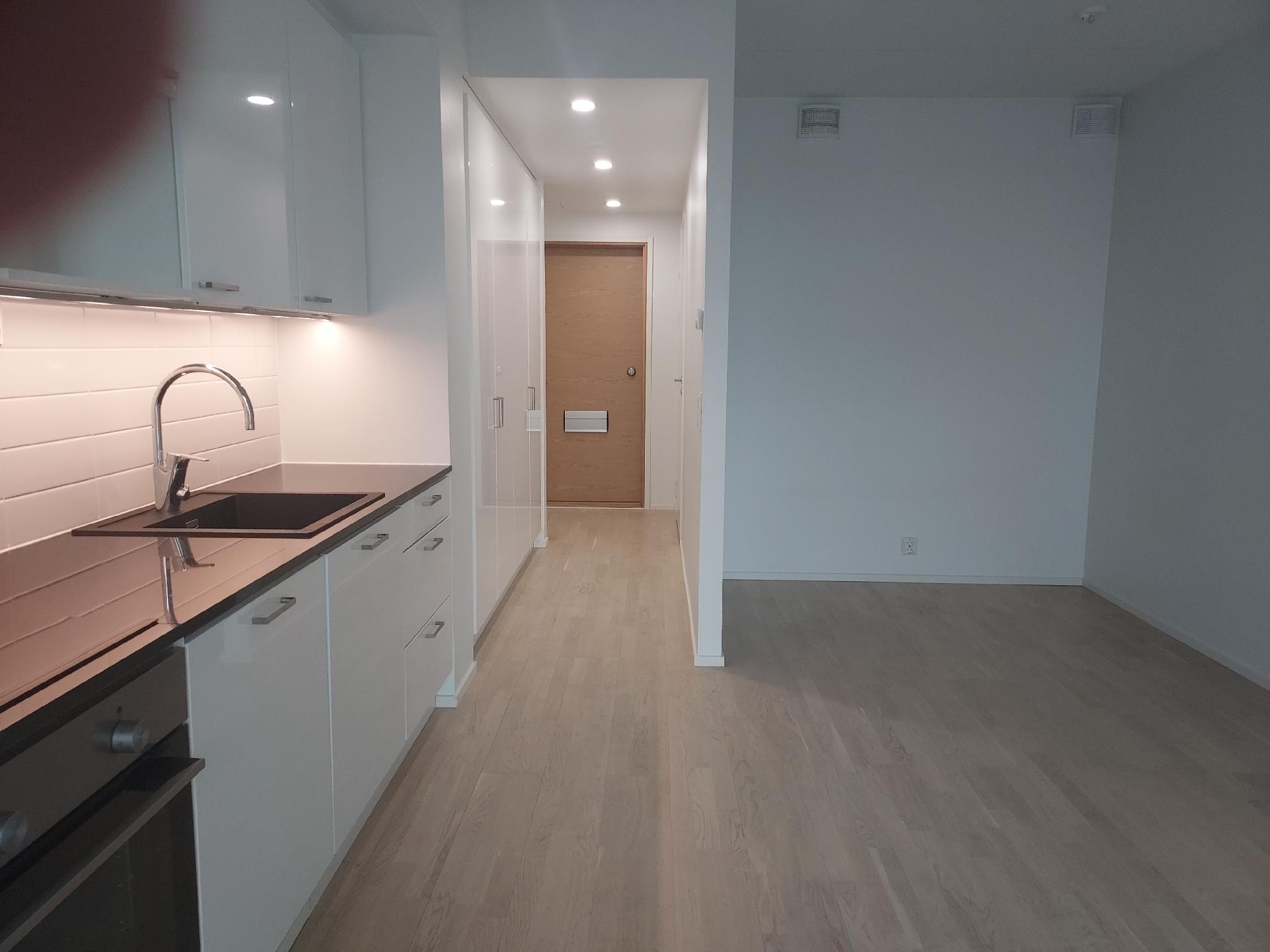 Keittiö ja makuualkovi