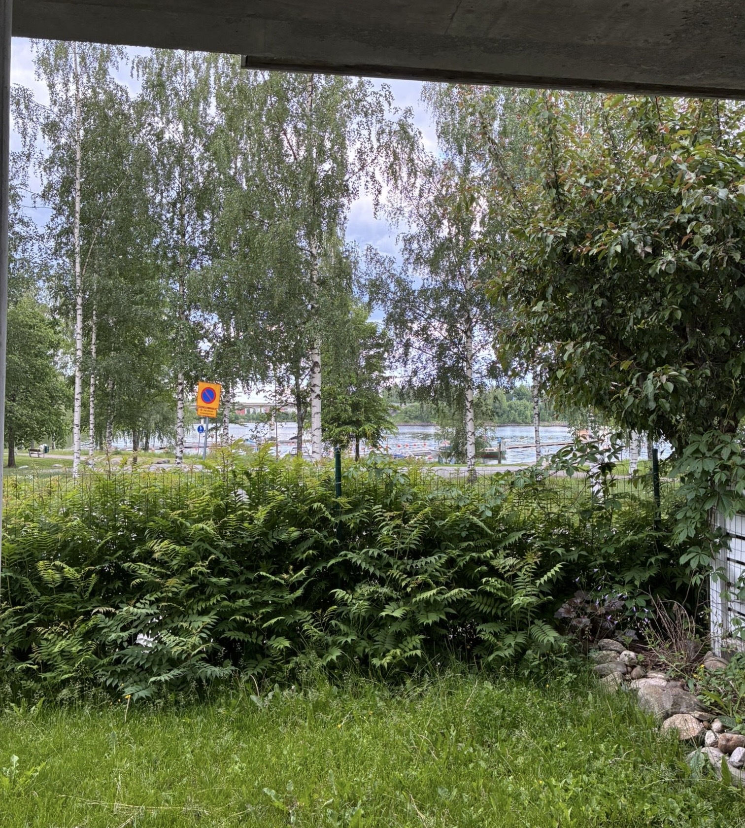 kesäkuva takapihalta