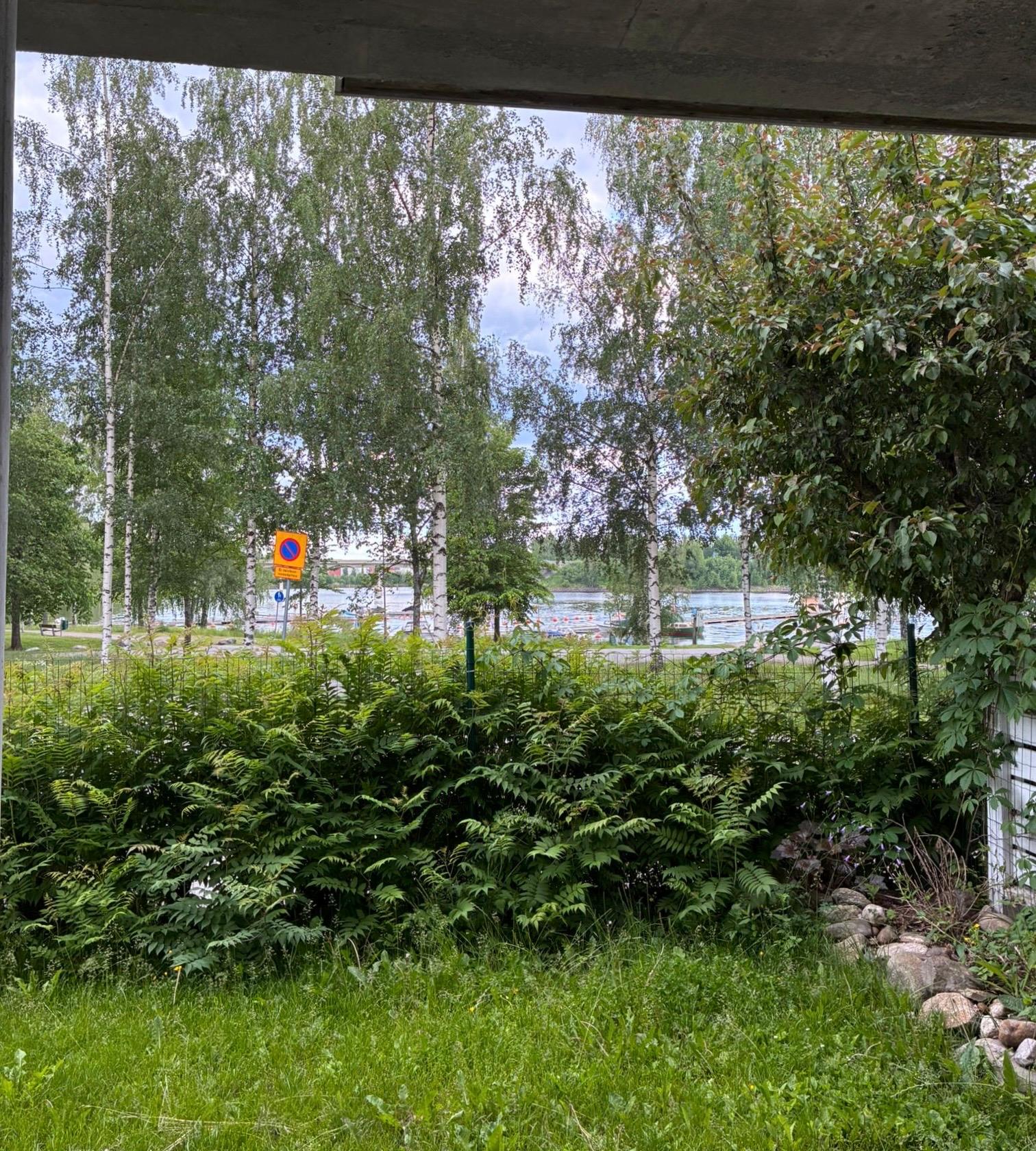 kesäkuva takapihalta