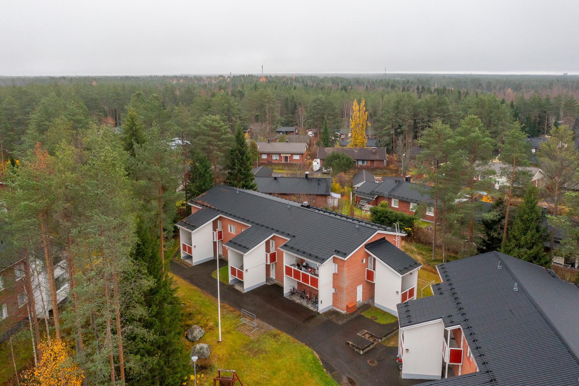 Sarvivälkkeentie 2, Knuutilankangas, Oulu