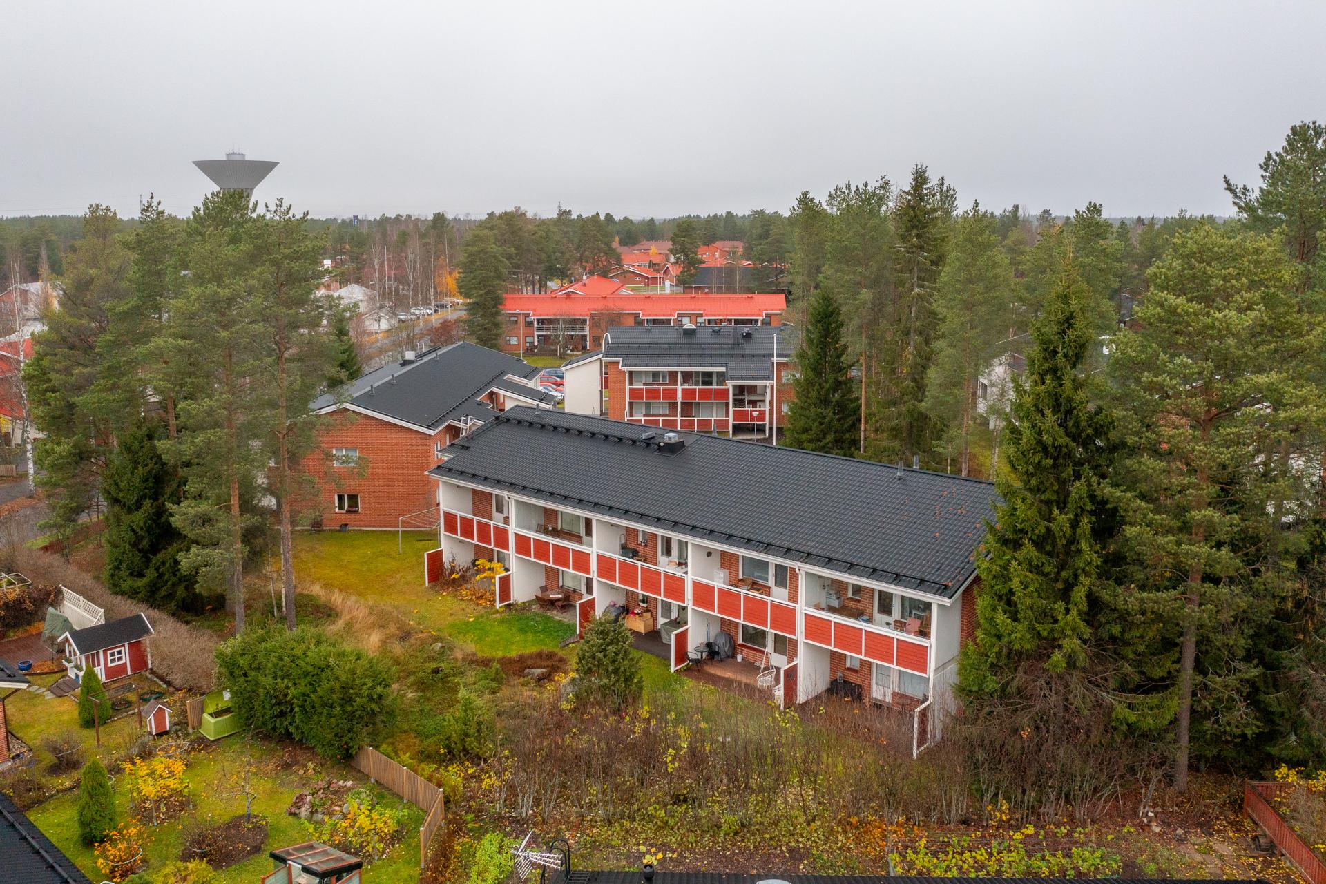 Sarvivälkkeentie 2, Knuutilankangas, Oulu