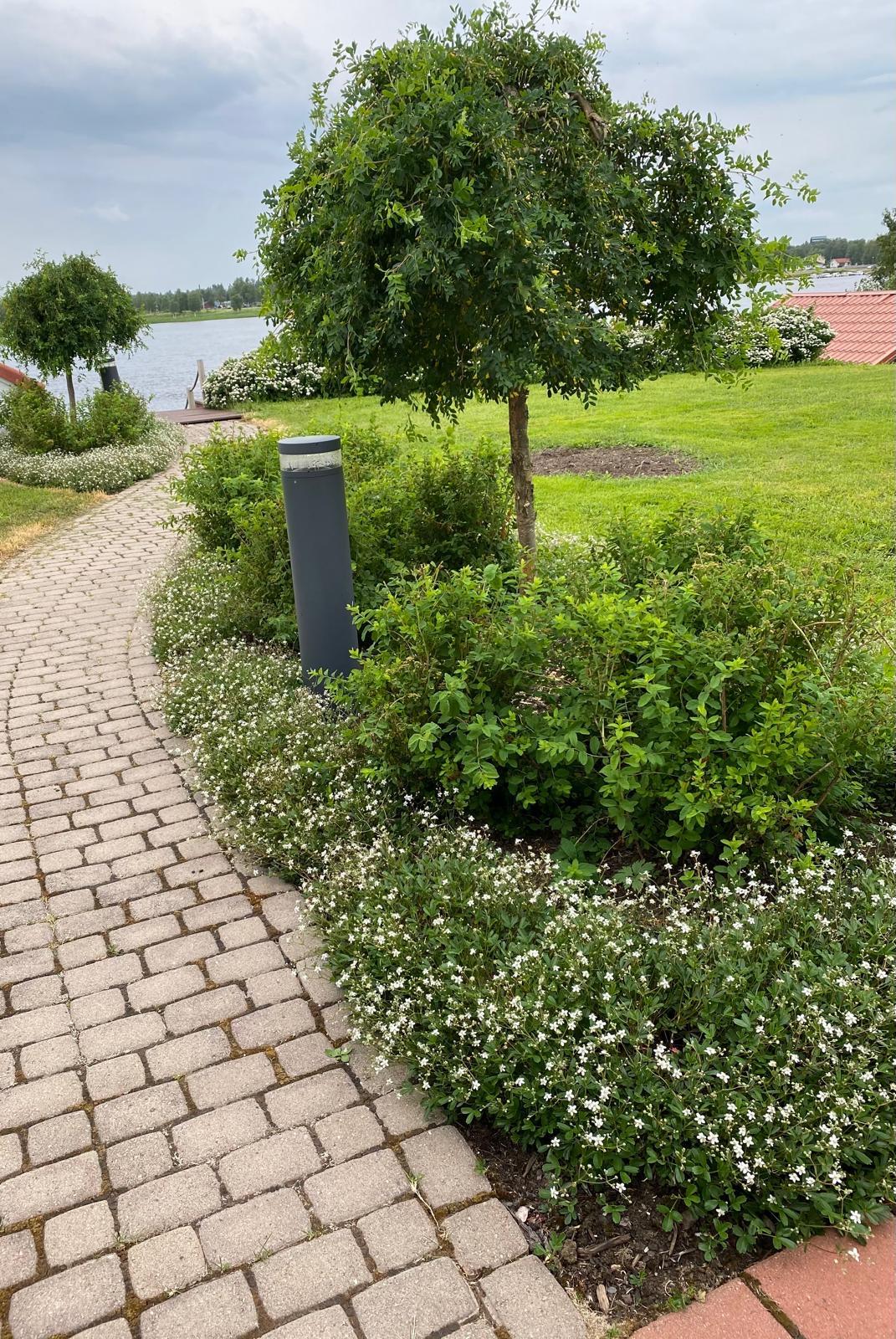 Polku talosta rantaan