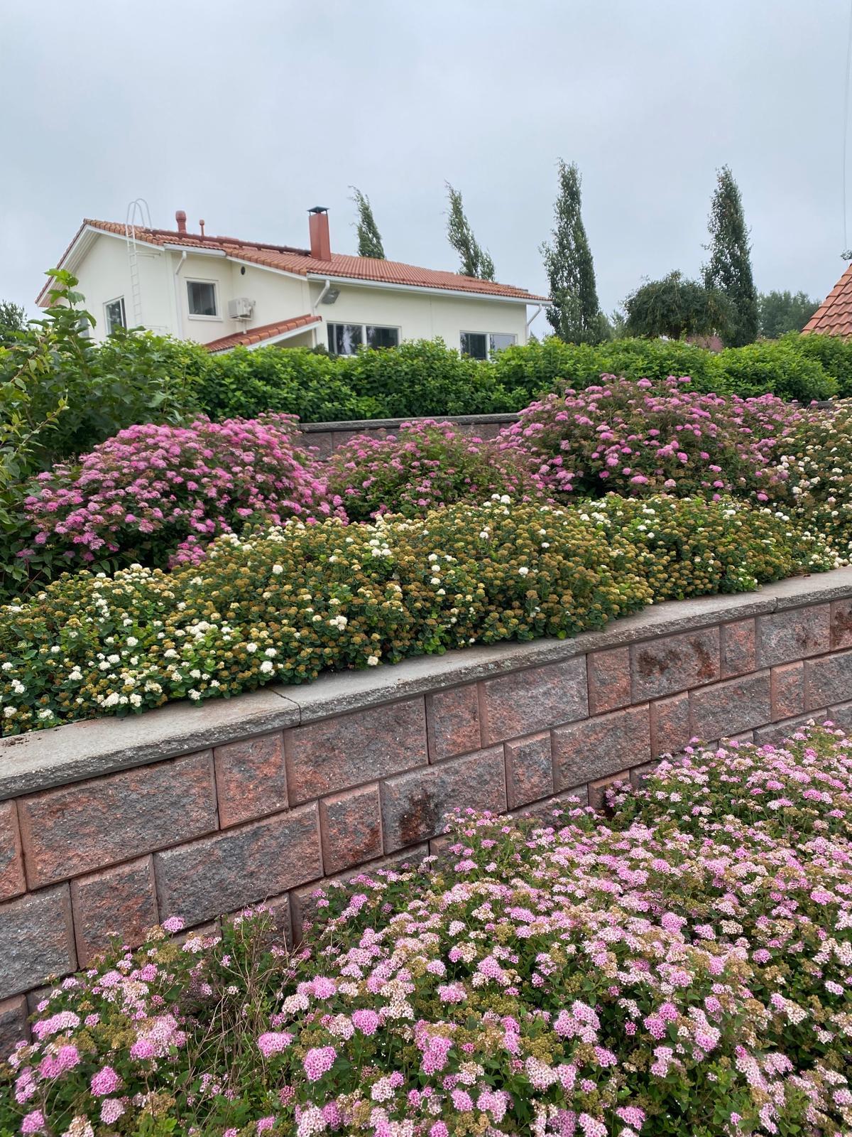 Kukkaloistoa monessa kerroksessa