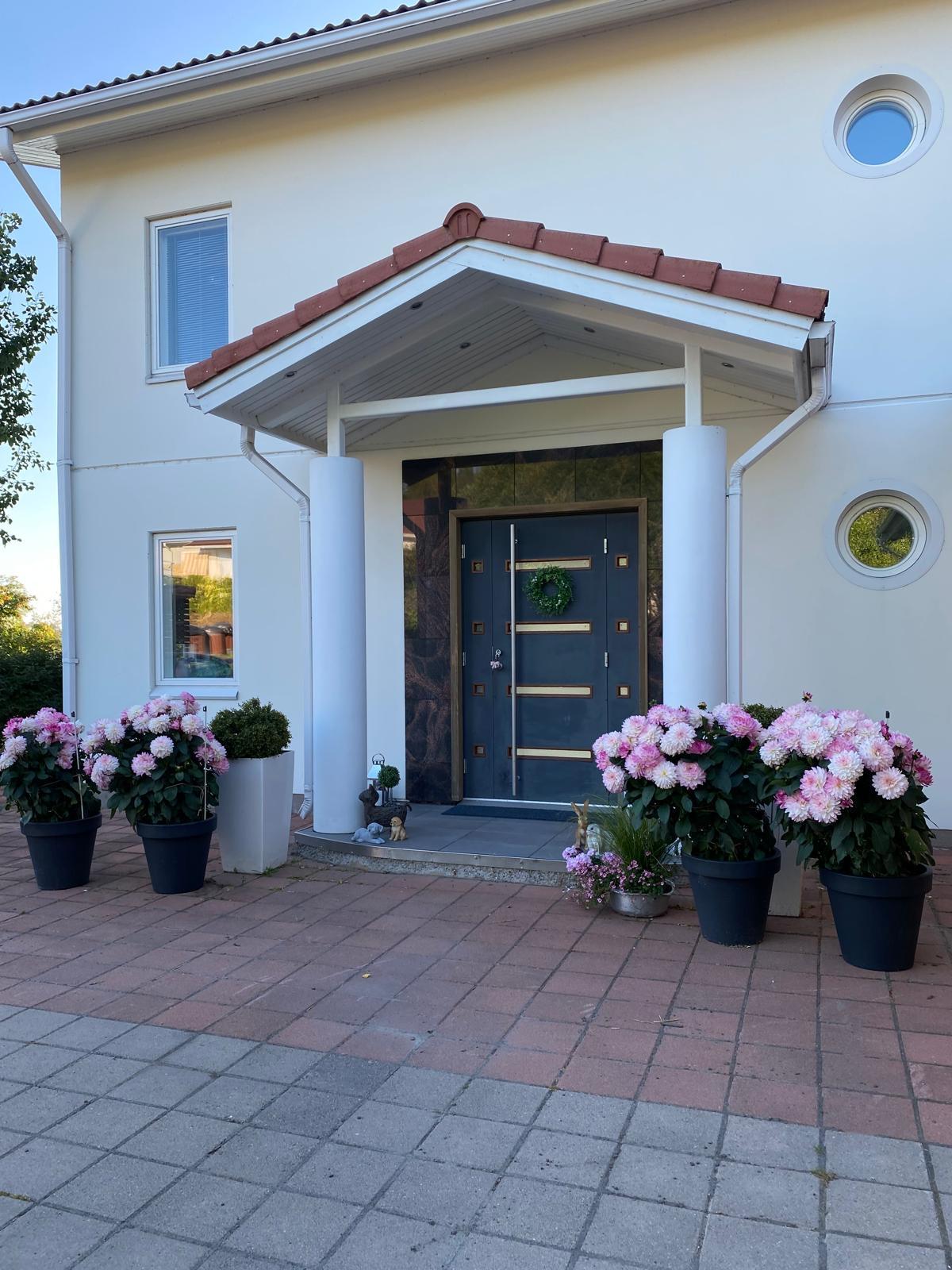 Tervetuloa, sisääntulo kesällä.