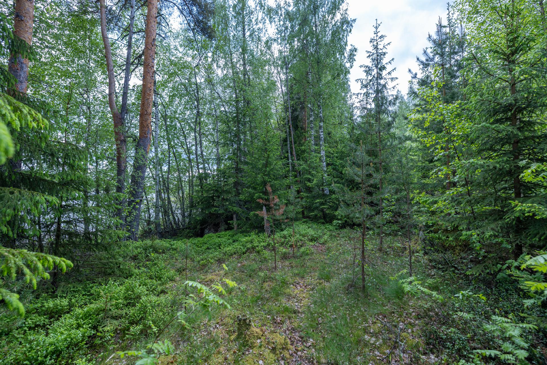 Puuskansaarentie 25, Helppanala, Mikkeli