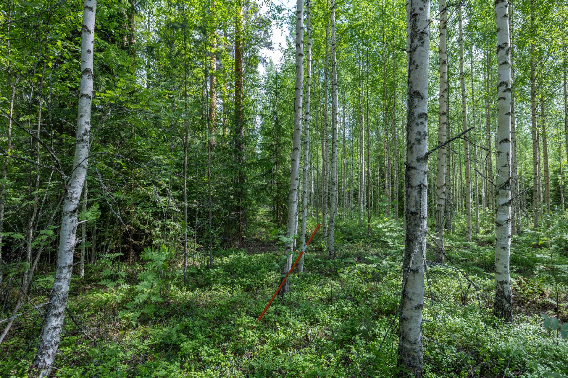 Puuskansaarentie 25, Helppanala, Mikkeli