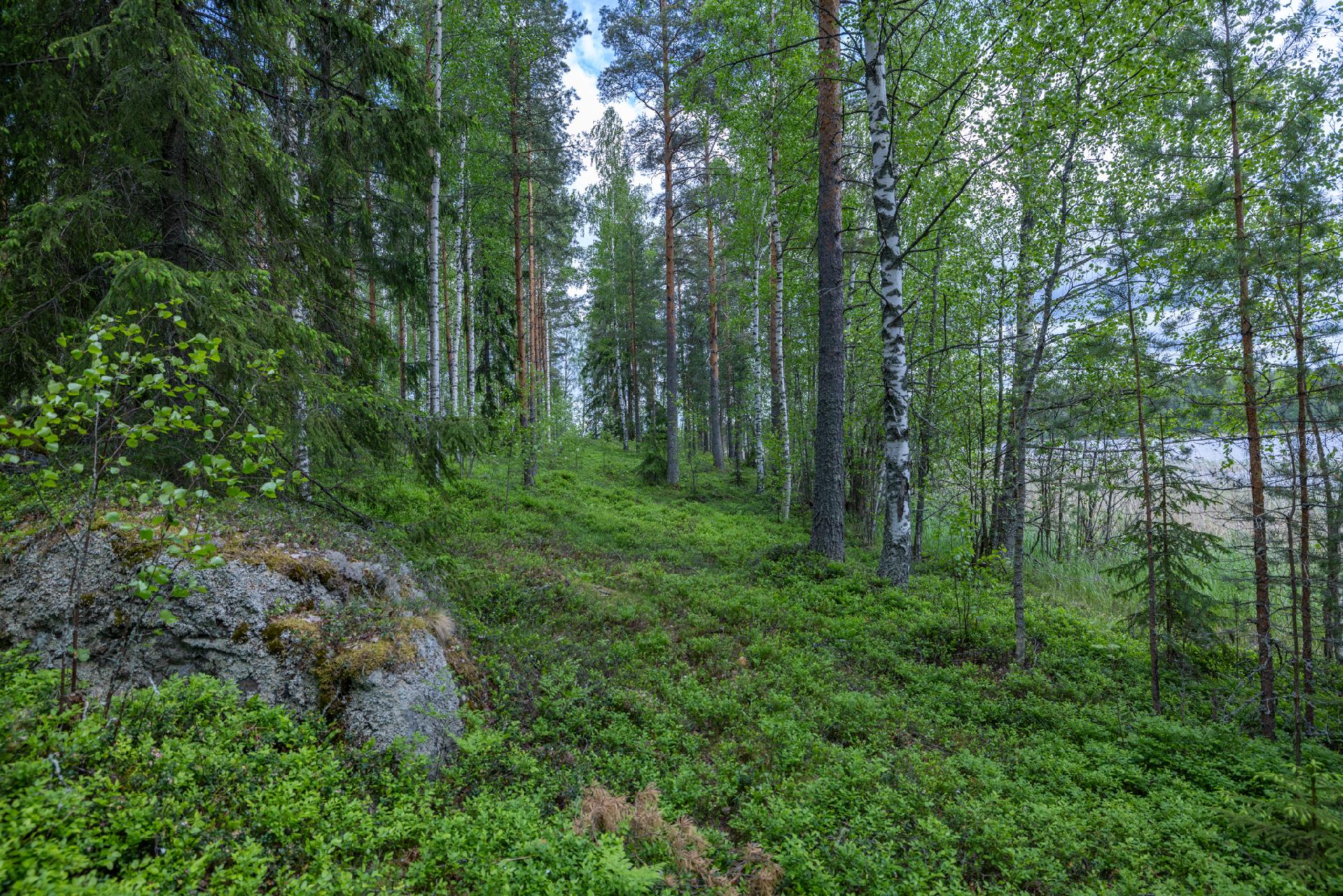 Puuskansaarentie 25, Helppanala, Mikkeli