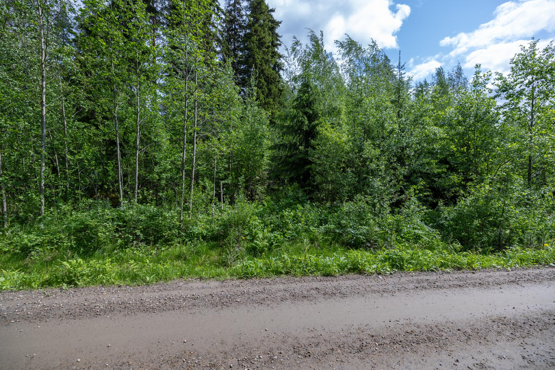 Puuskansaarentie 25, Helppanala, Mikkeli