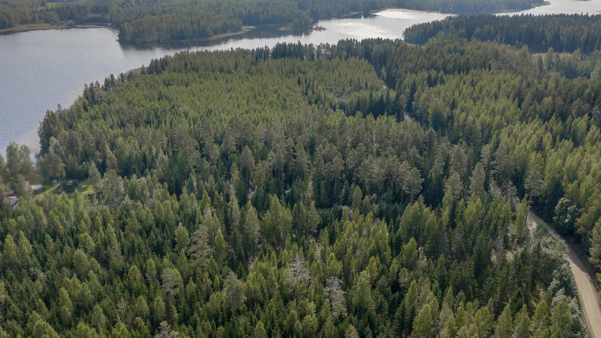 Puuskansaarentie 25, Helppanala, Mikkeli