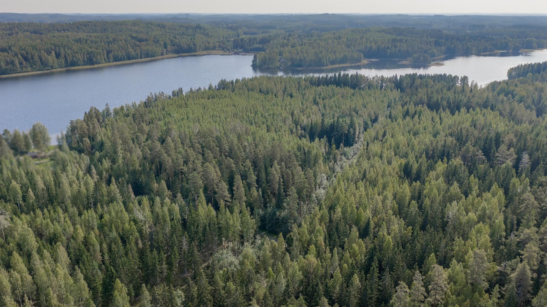 Puuskansaarentie 25, Helppanala, Mikkeli