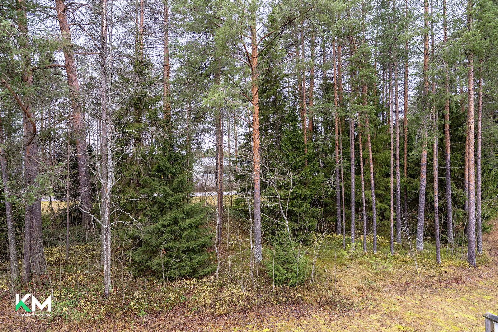 Kartanotie 2, Knuutilanranta, Oulu