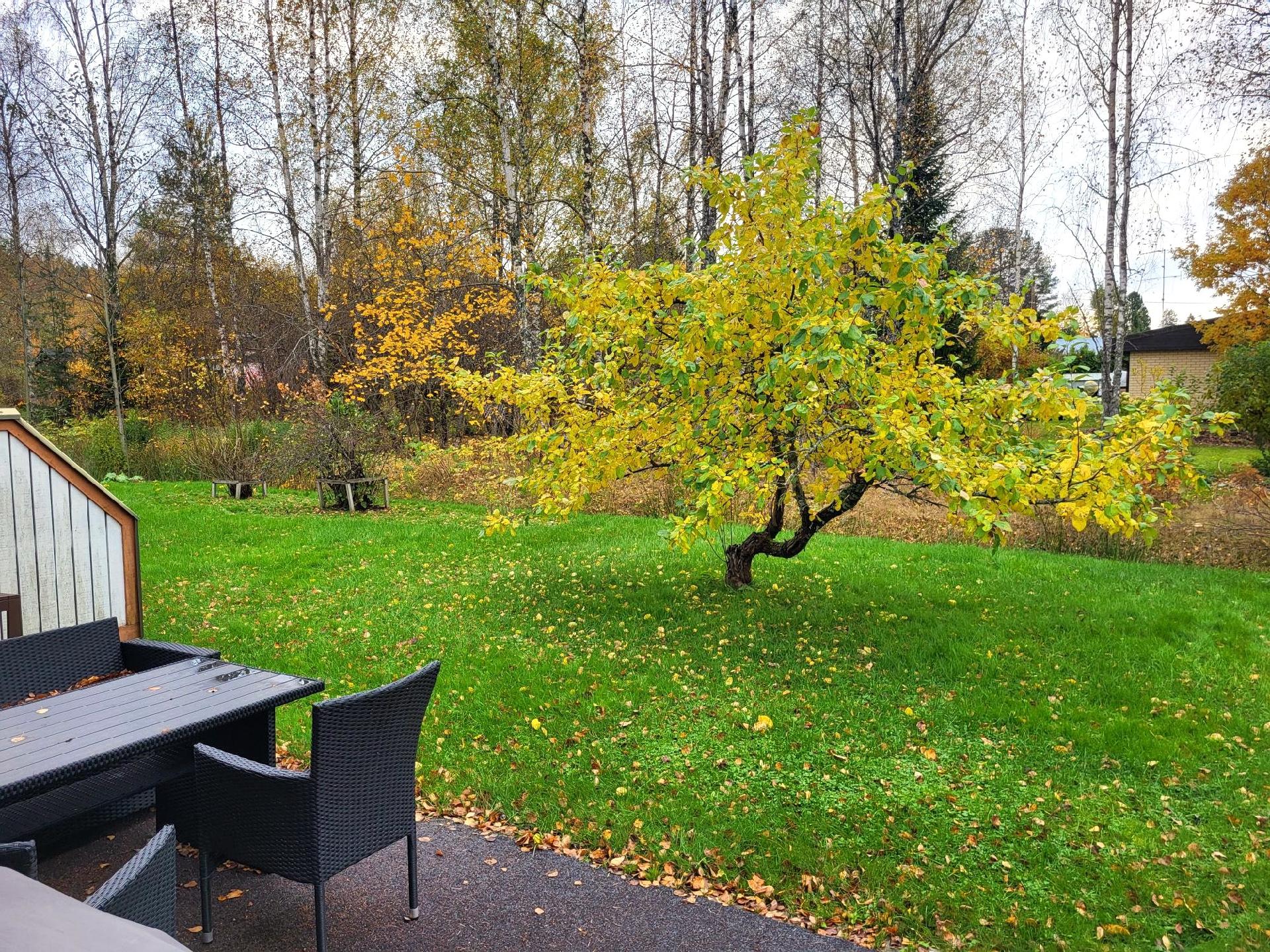 Kolkankuja 6, Valkeala, Kouvola