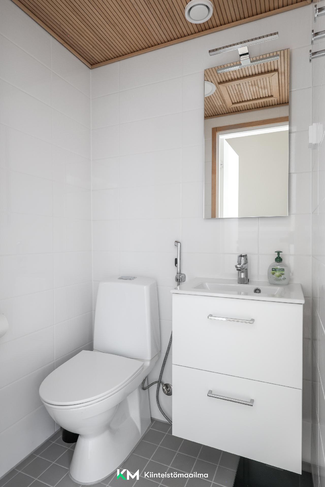 Alakerran erillinen wc