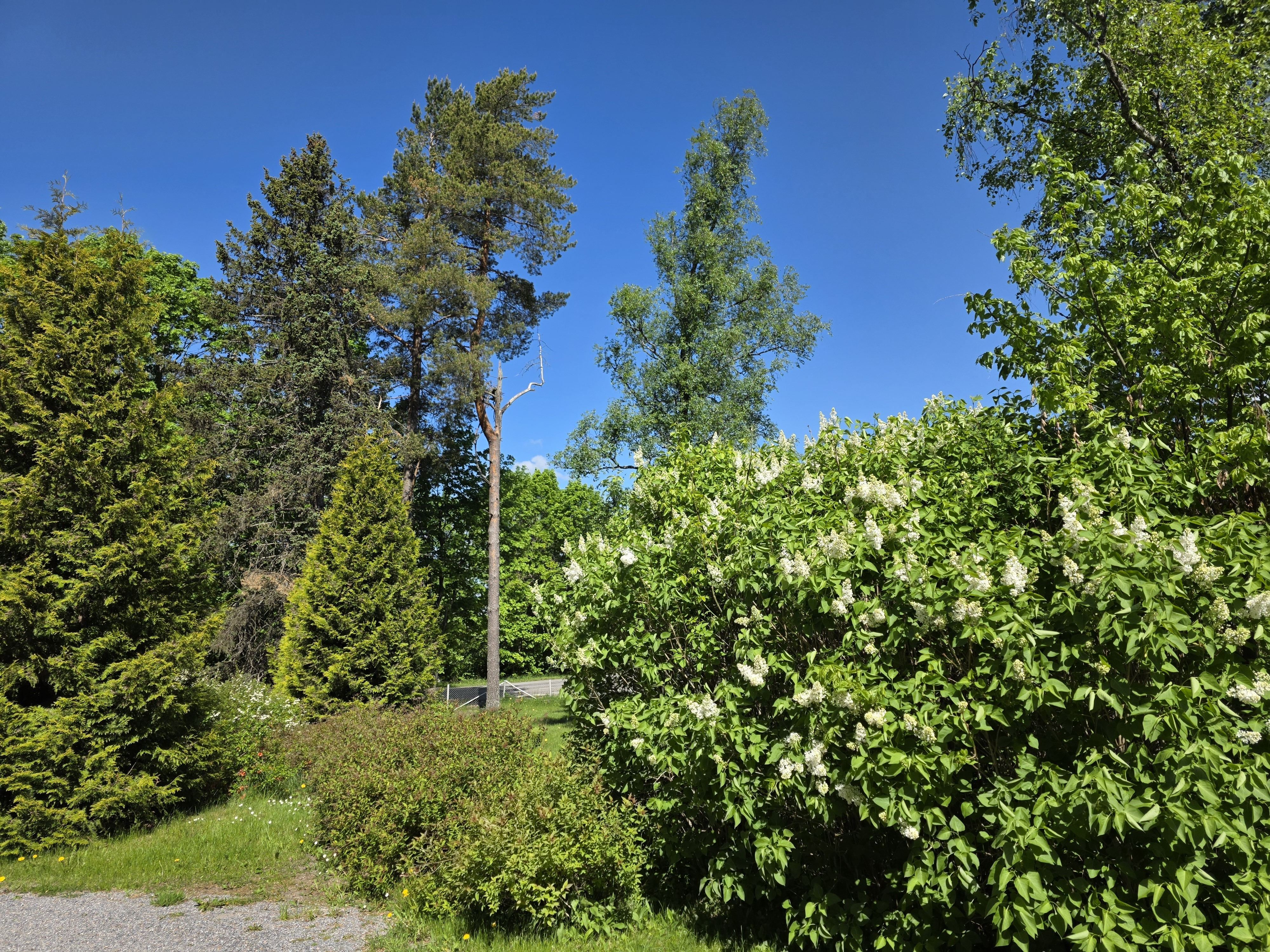 Jukolantie 1, Virkkala, Lohja