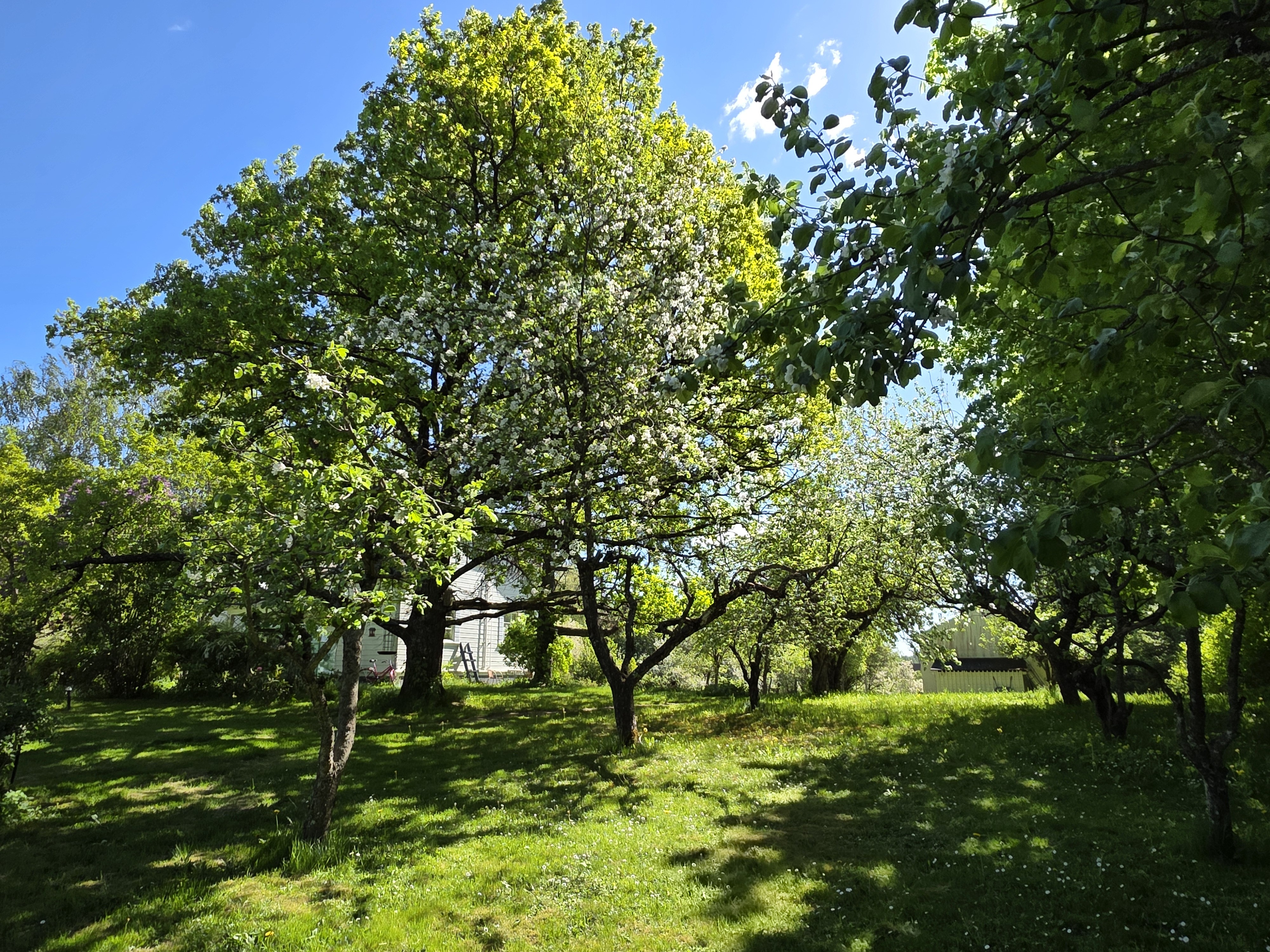 Jukolantie 1, Virkkala, Lohja