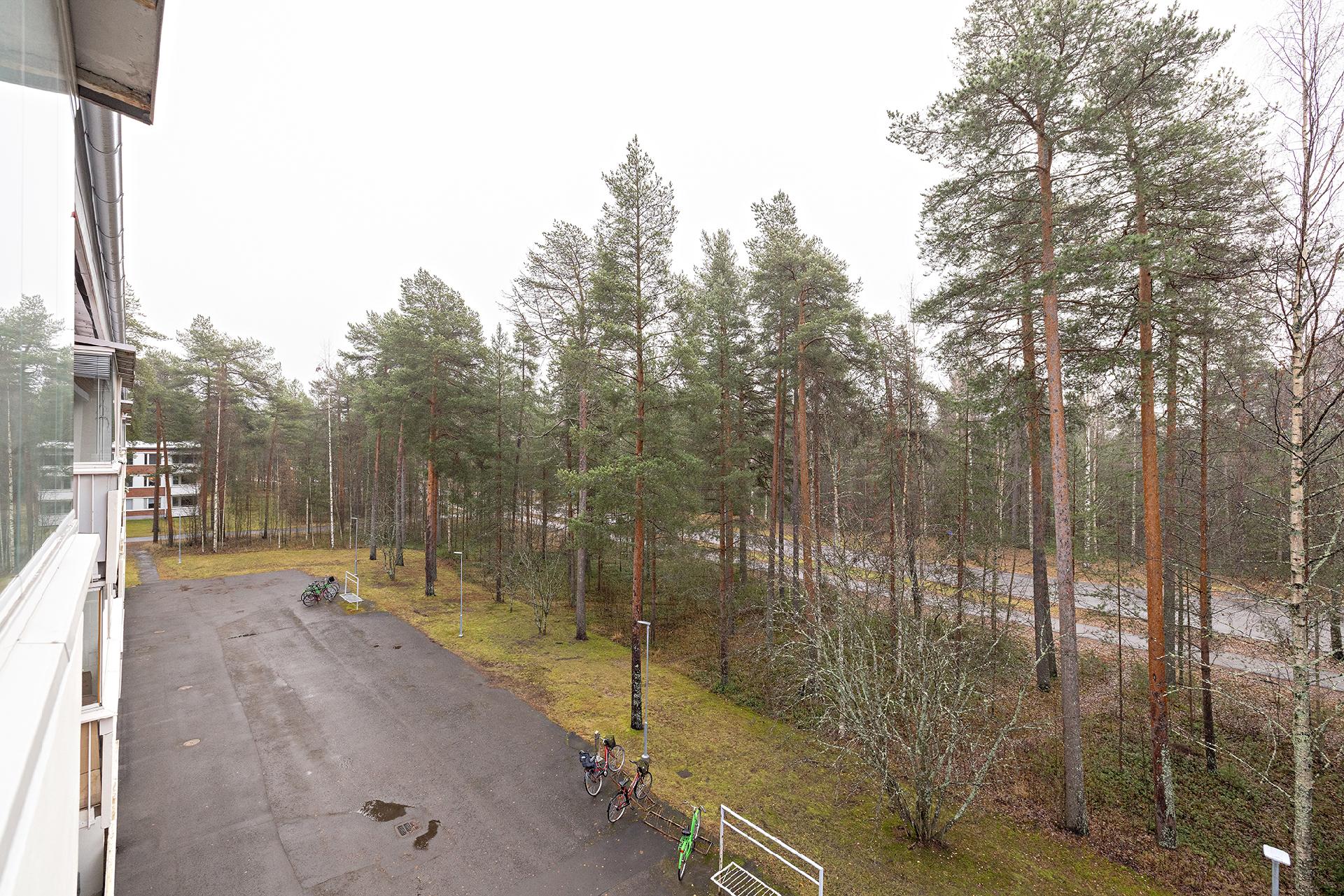 Jalohaukantie 2, Kaukovainio, Oulu