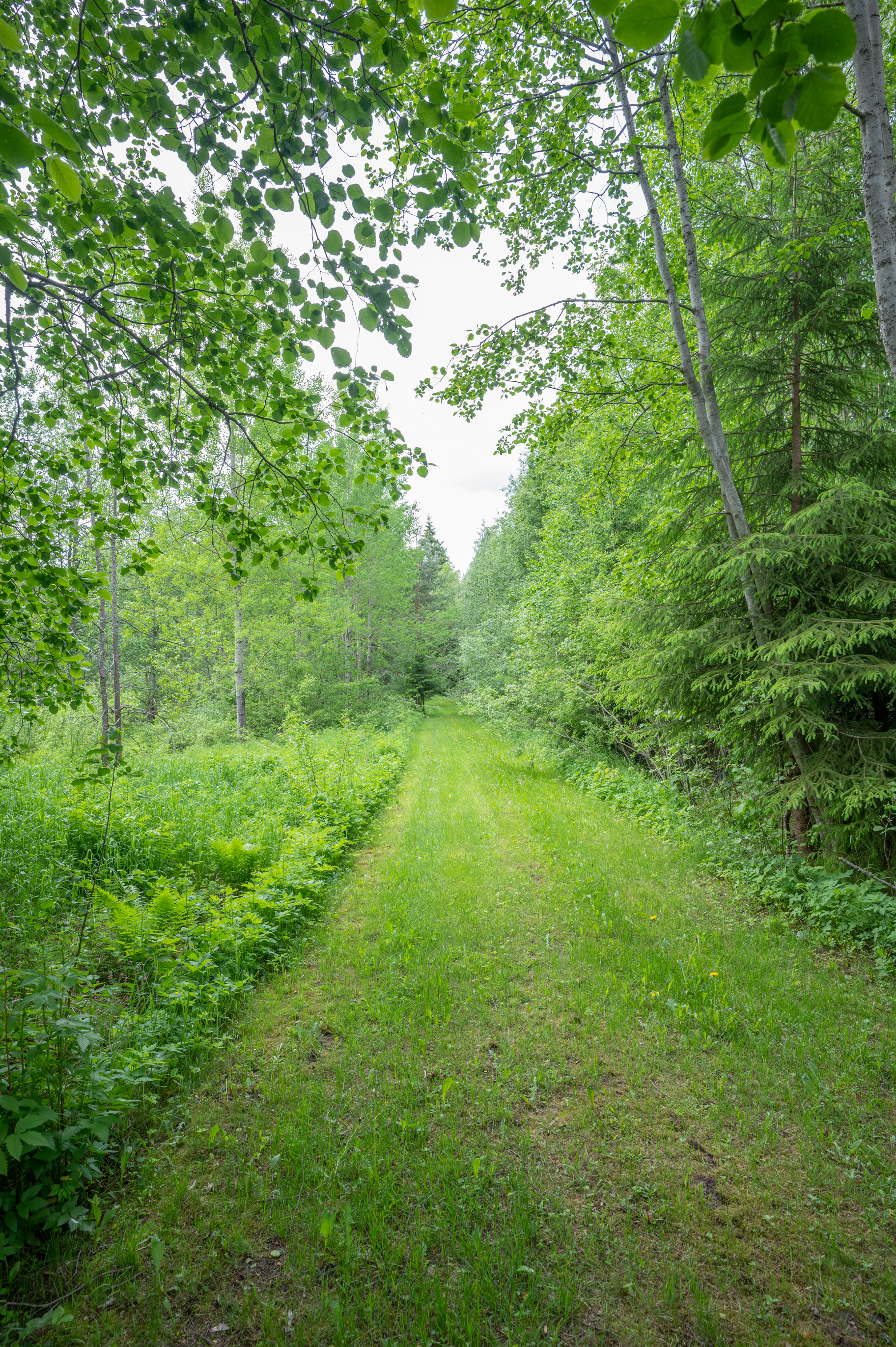 Rauhalantie 153, Röykkä, Nurmijärvi