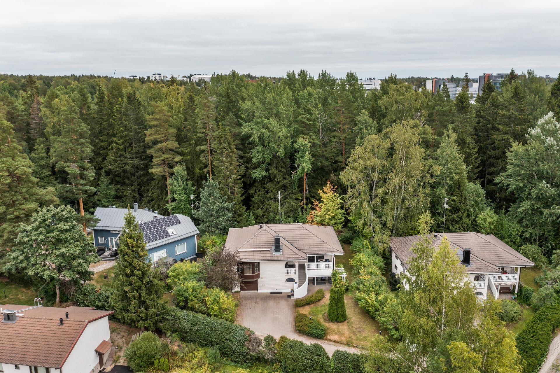 Loistava sijainti metsän vieressä