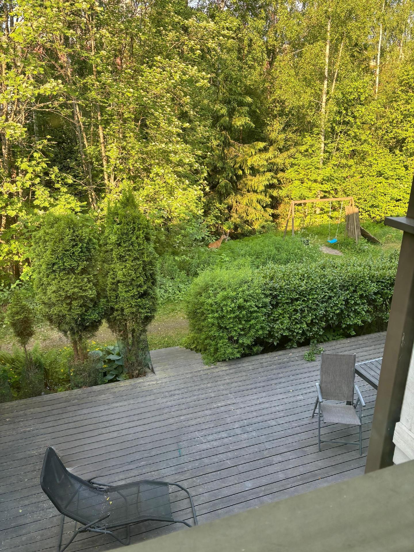 Näkymä terassilta kesällä