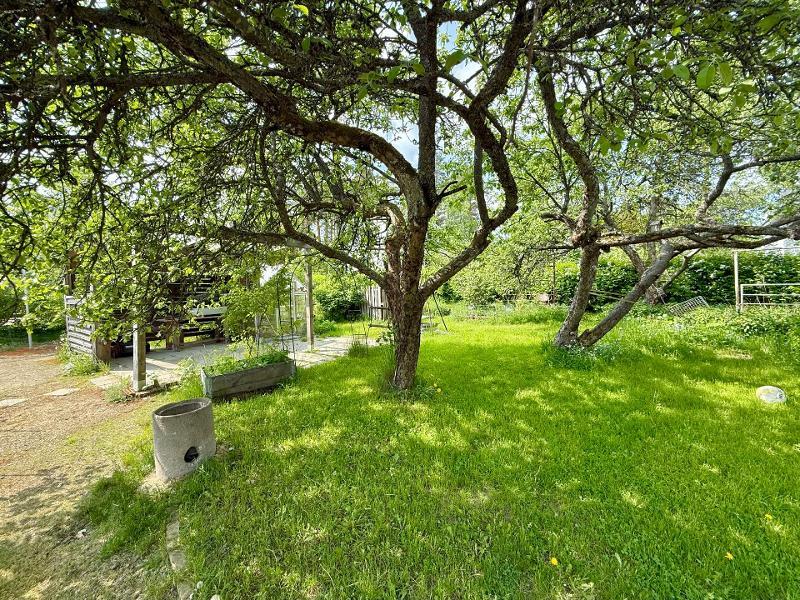 Ansionrinne 13A, Kankaantausta, Hämeenlinna