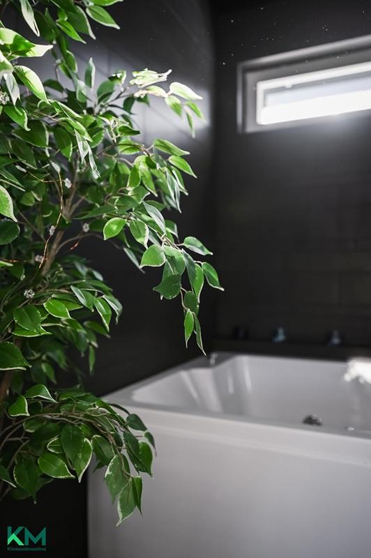 Hiirenporras 7, Perhoslehto, Hollola