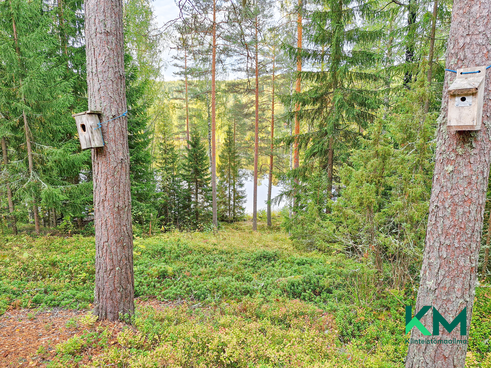 Pirttiniementie 27, Simanala, Enonkoski