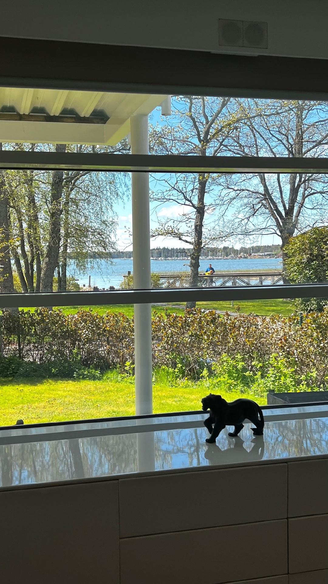 Näkymä takkahuoneesta