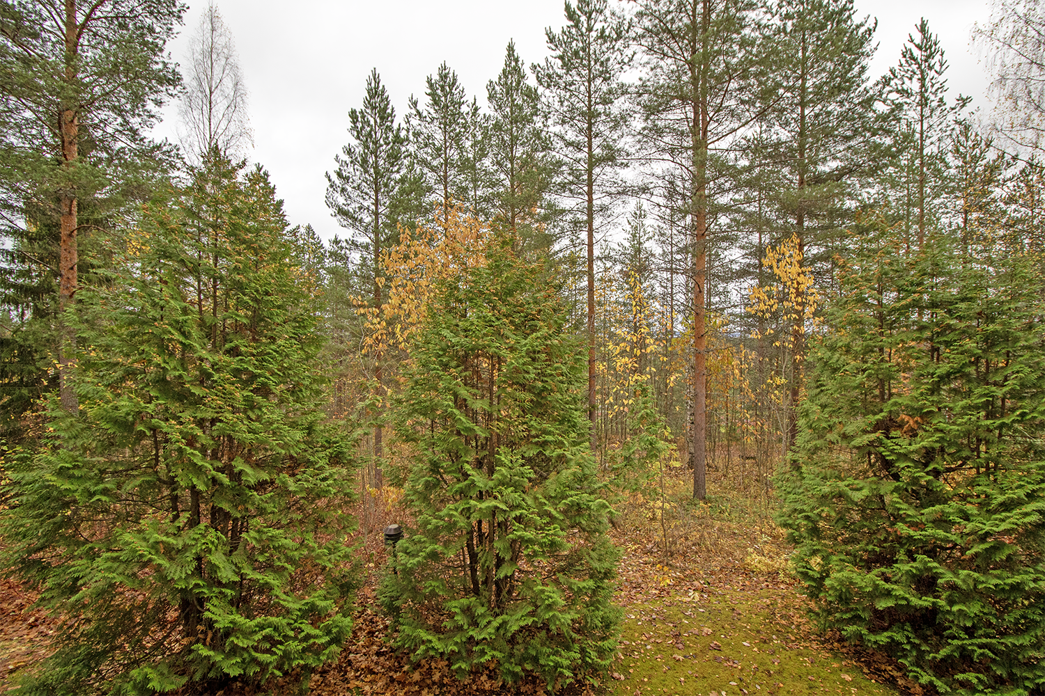 Näkymä parvekkeelta.