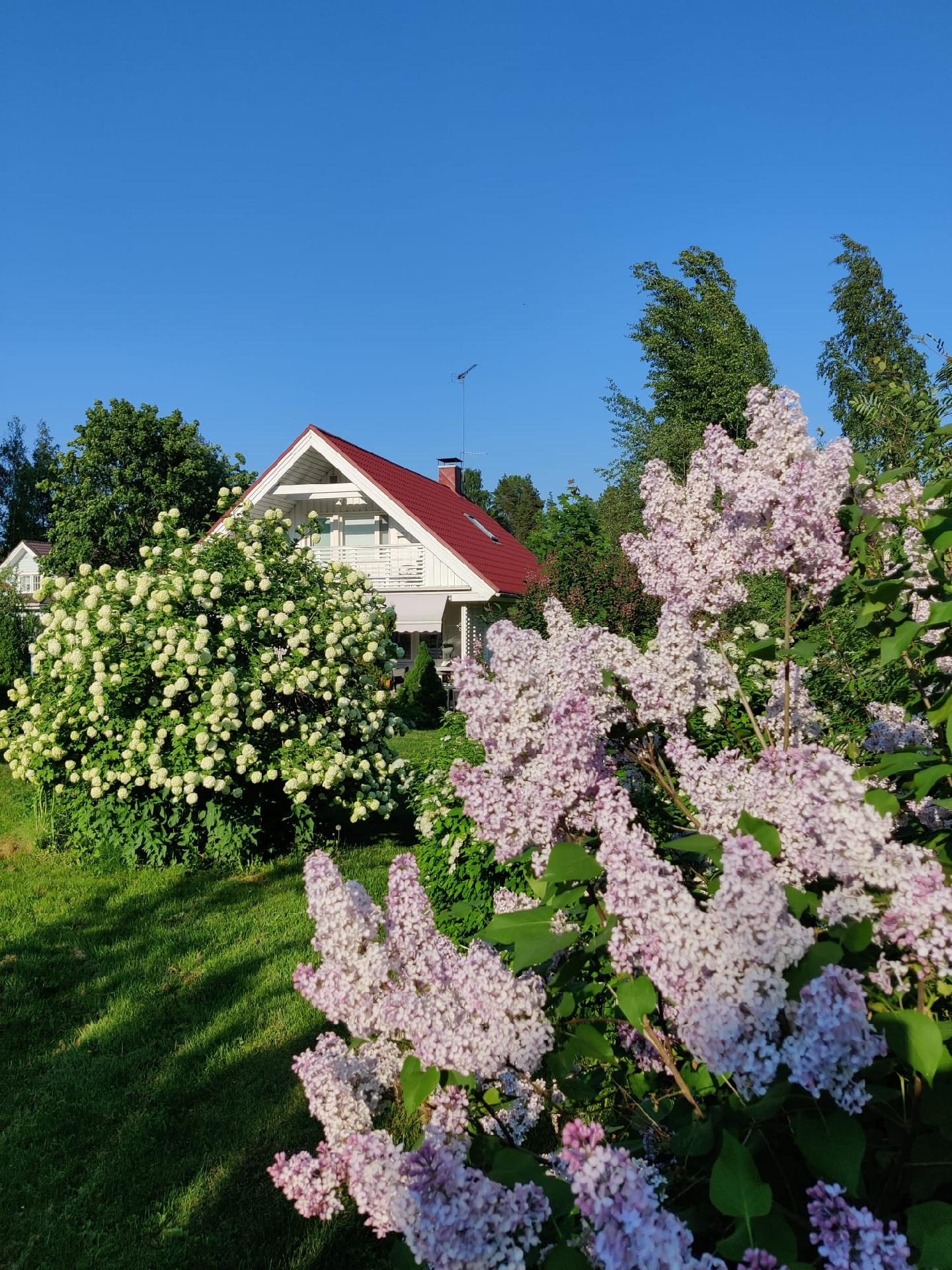 Sinisiiventie 21, Nikinmäki, Vantaa