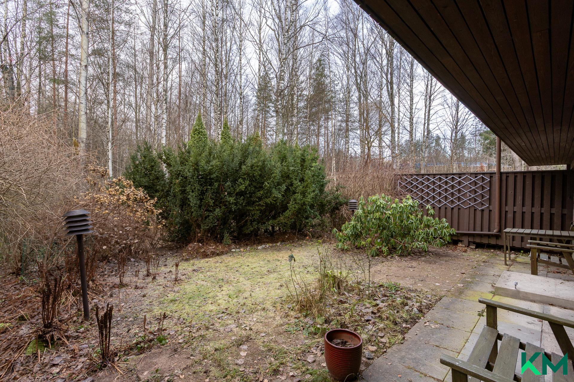 Takapihan näkymää