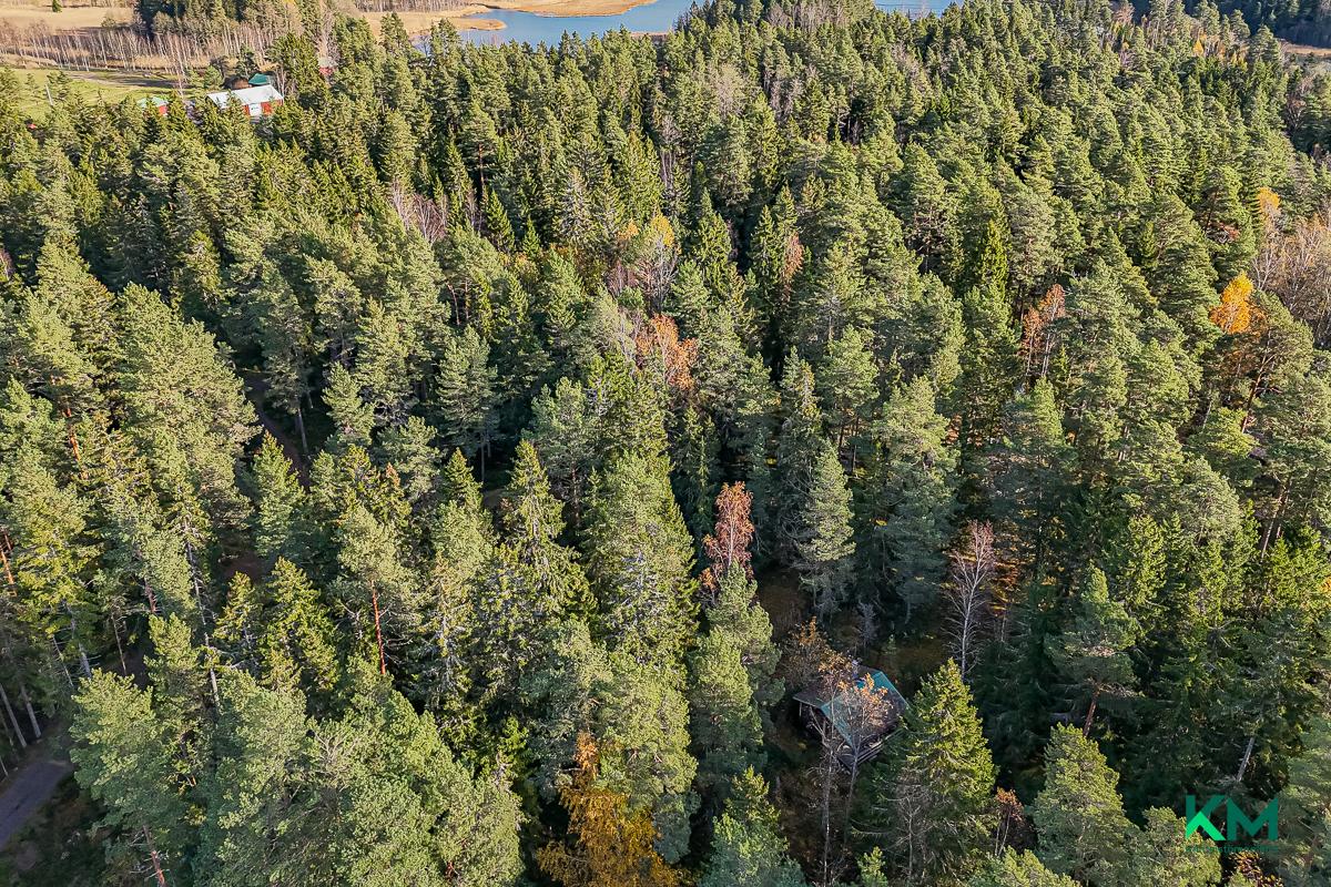 Munksundintie 13, Finnpada, Inkoo