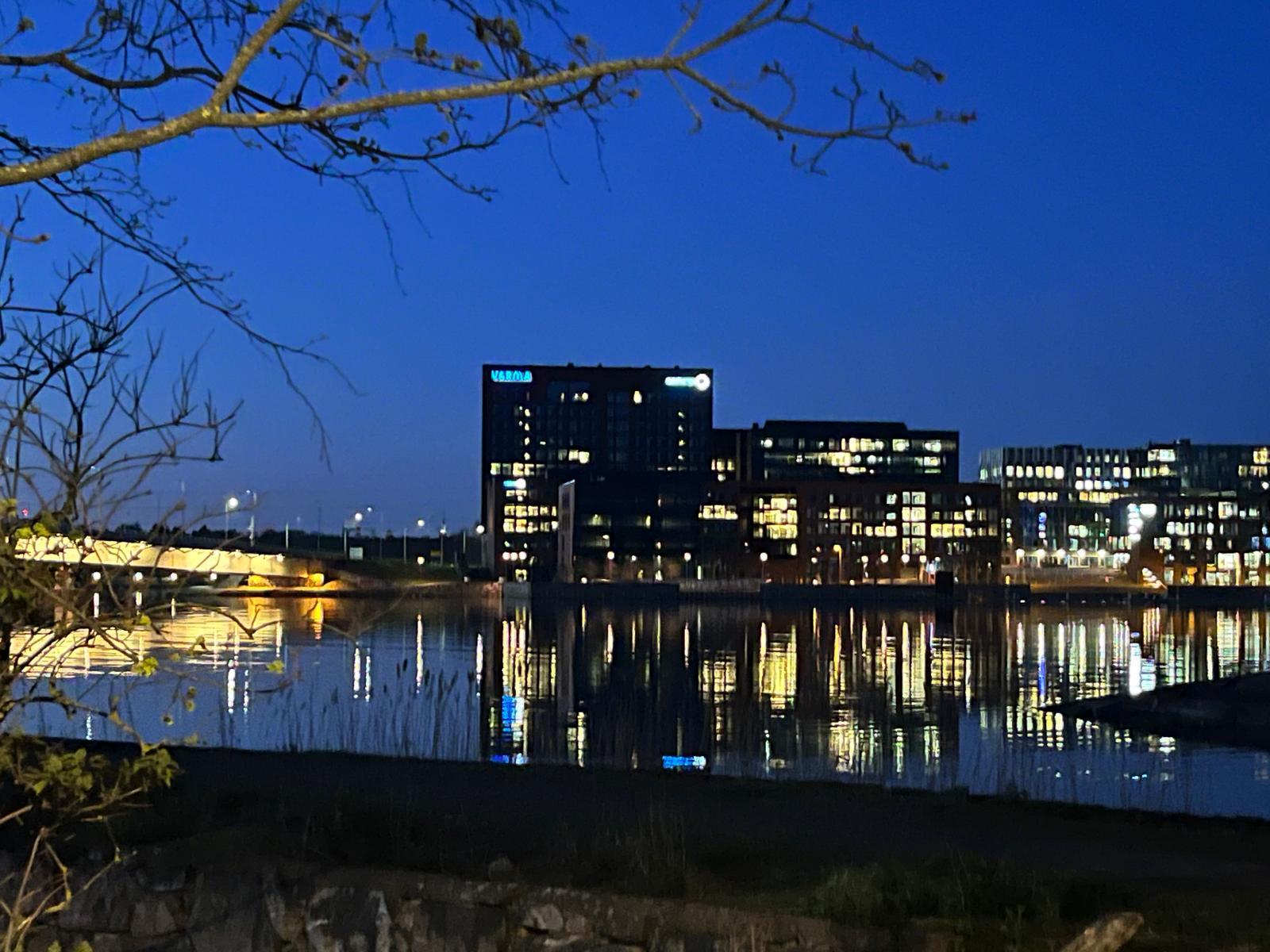 Myyjän ottama kuva, Salmisaaren siluetti