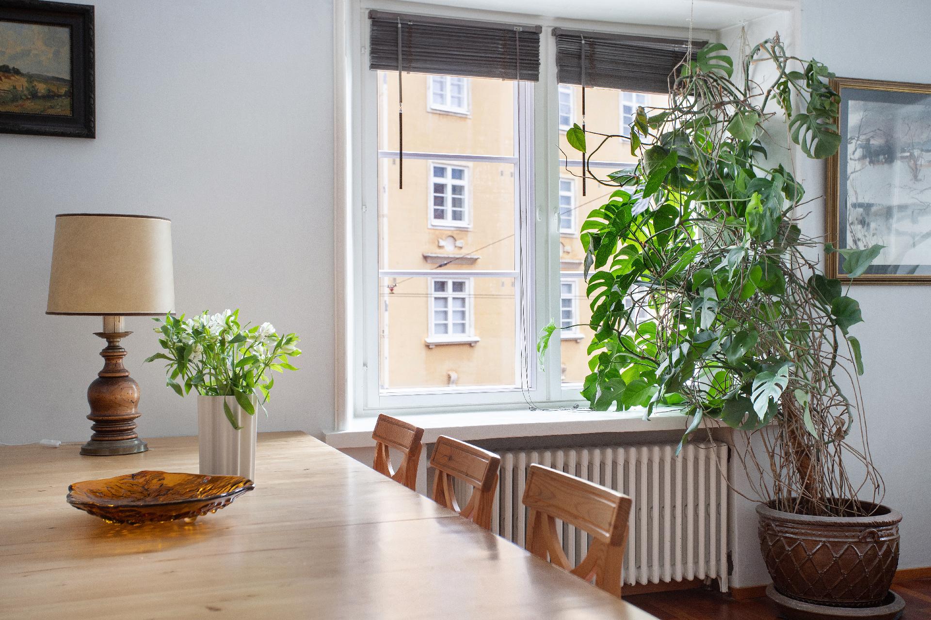 Runeberginkatu 28, Etu-Töölö, Helsinki