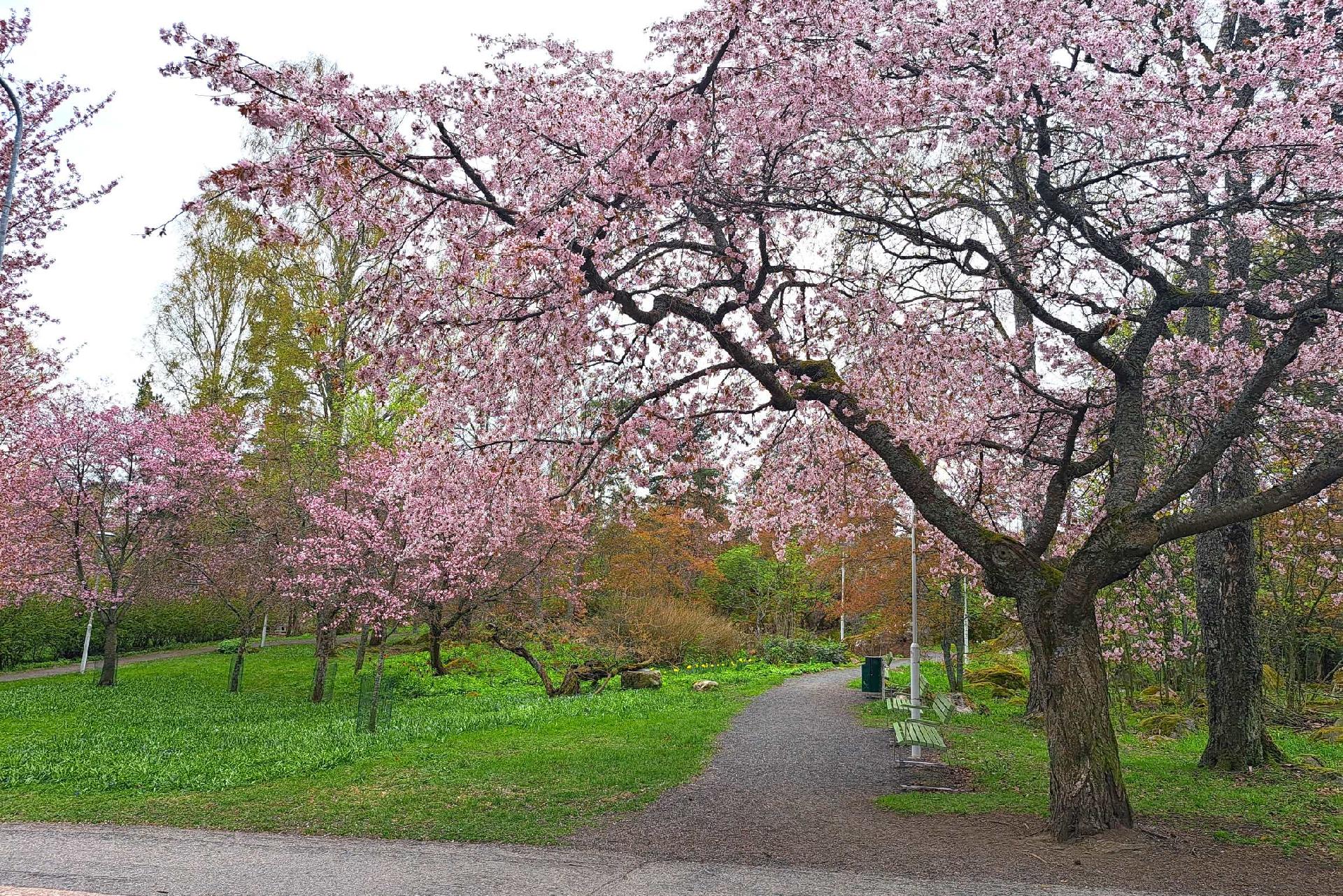 Mäyrätie 1, Herttoniemi, Helsinki