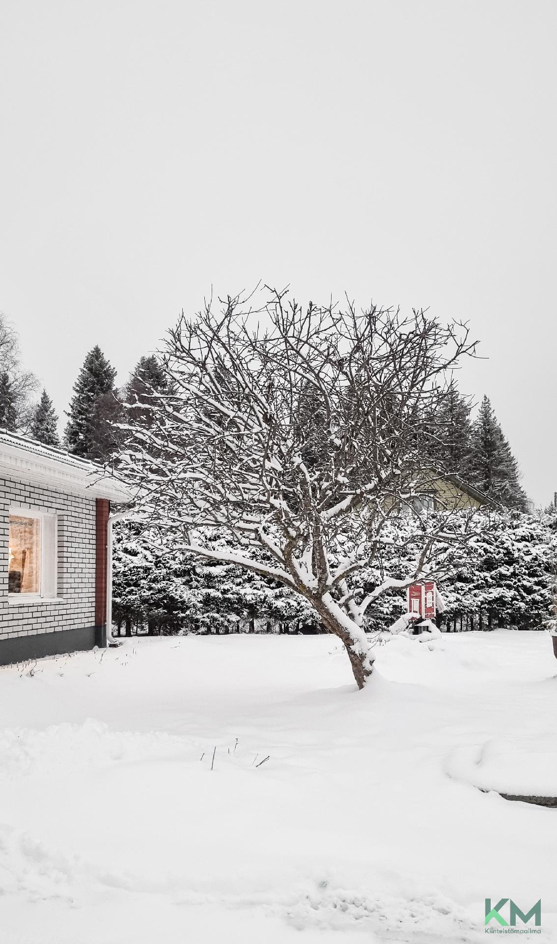 Haaralanperäntie 58, Kaakamo, Tornio