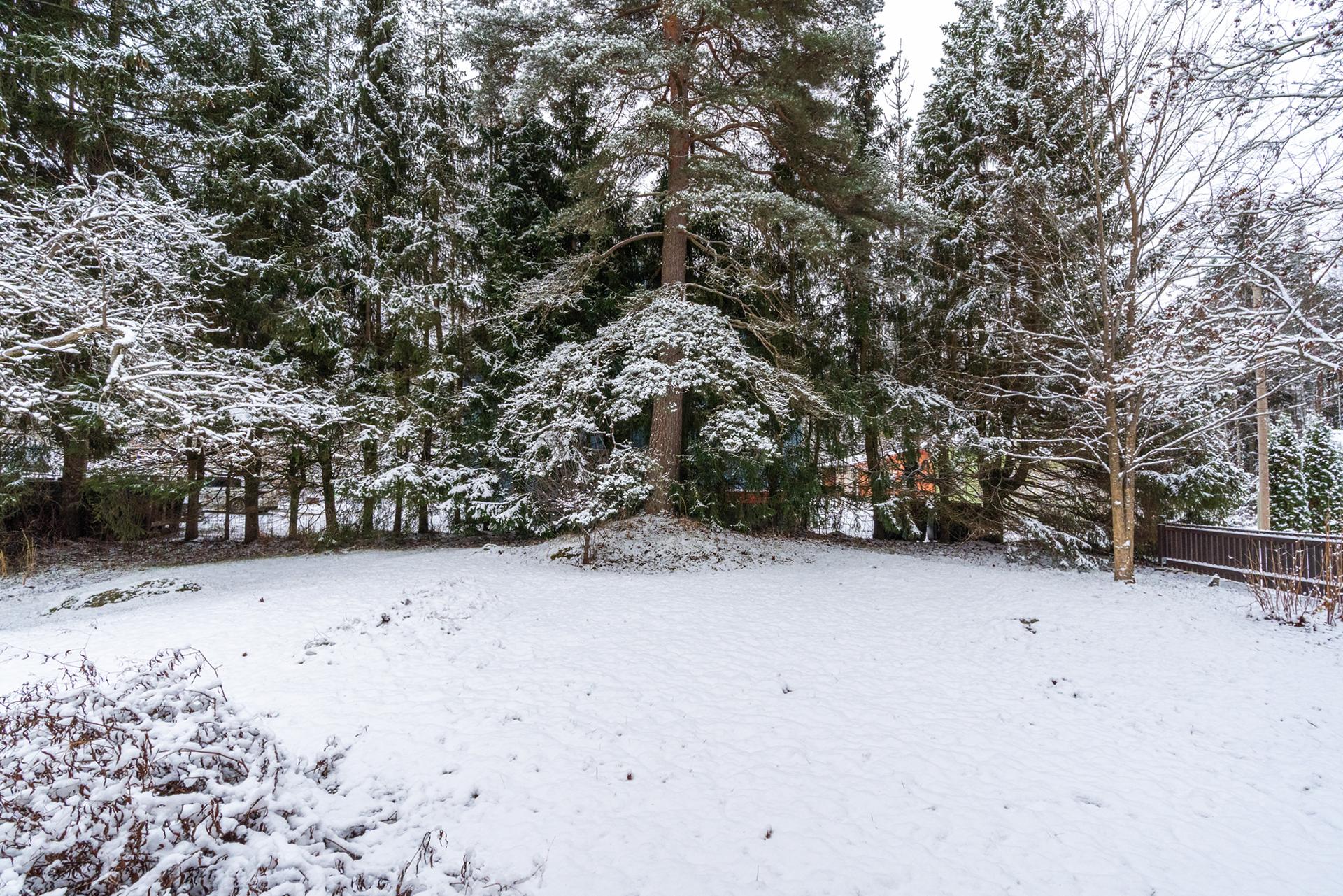 Kiveliönkatu 24, Kiveliö, Tampere