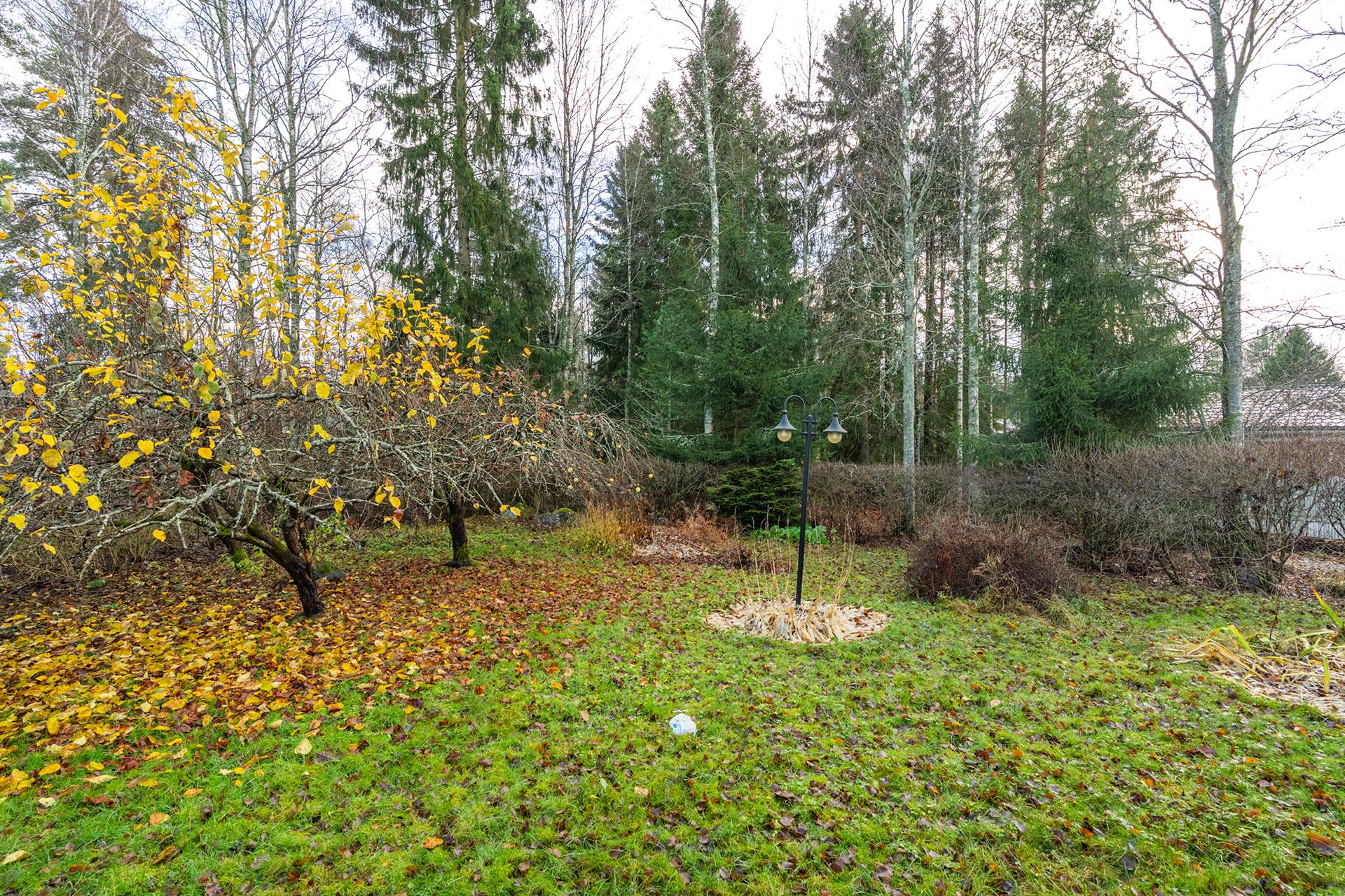 Lepikönkatu 7, Hallila, Tampere