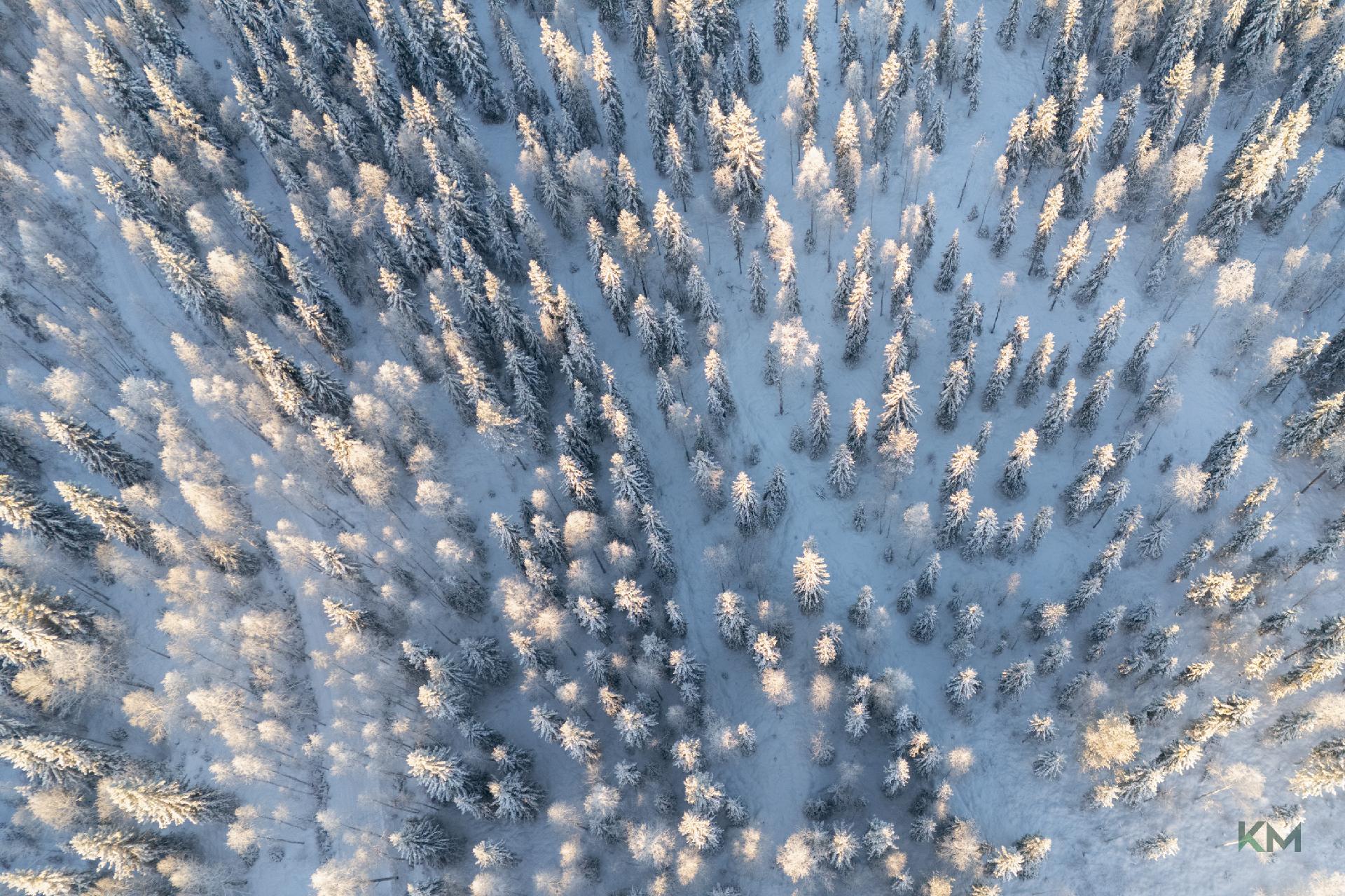 Ojamäentie 2, Norvajärvi, Rovaniemi